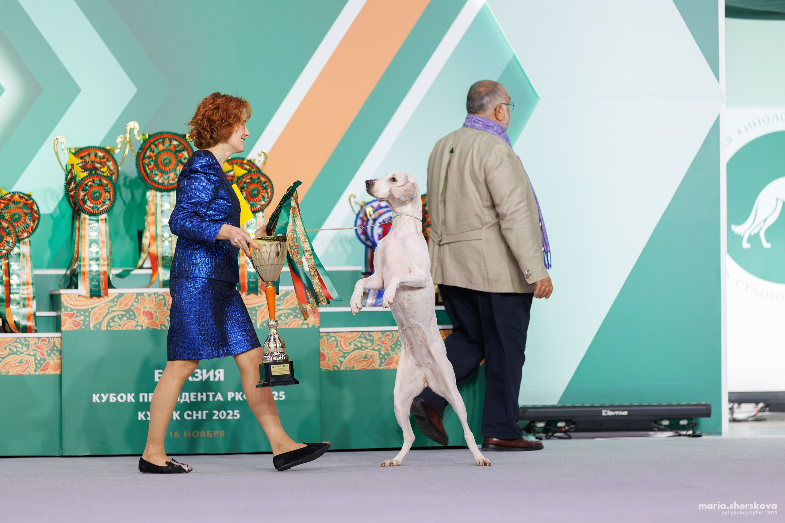 Выставки. Фотограф-анималист в Калуге Мария Шерскова