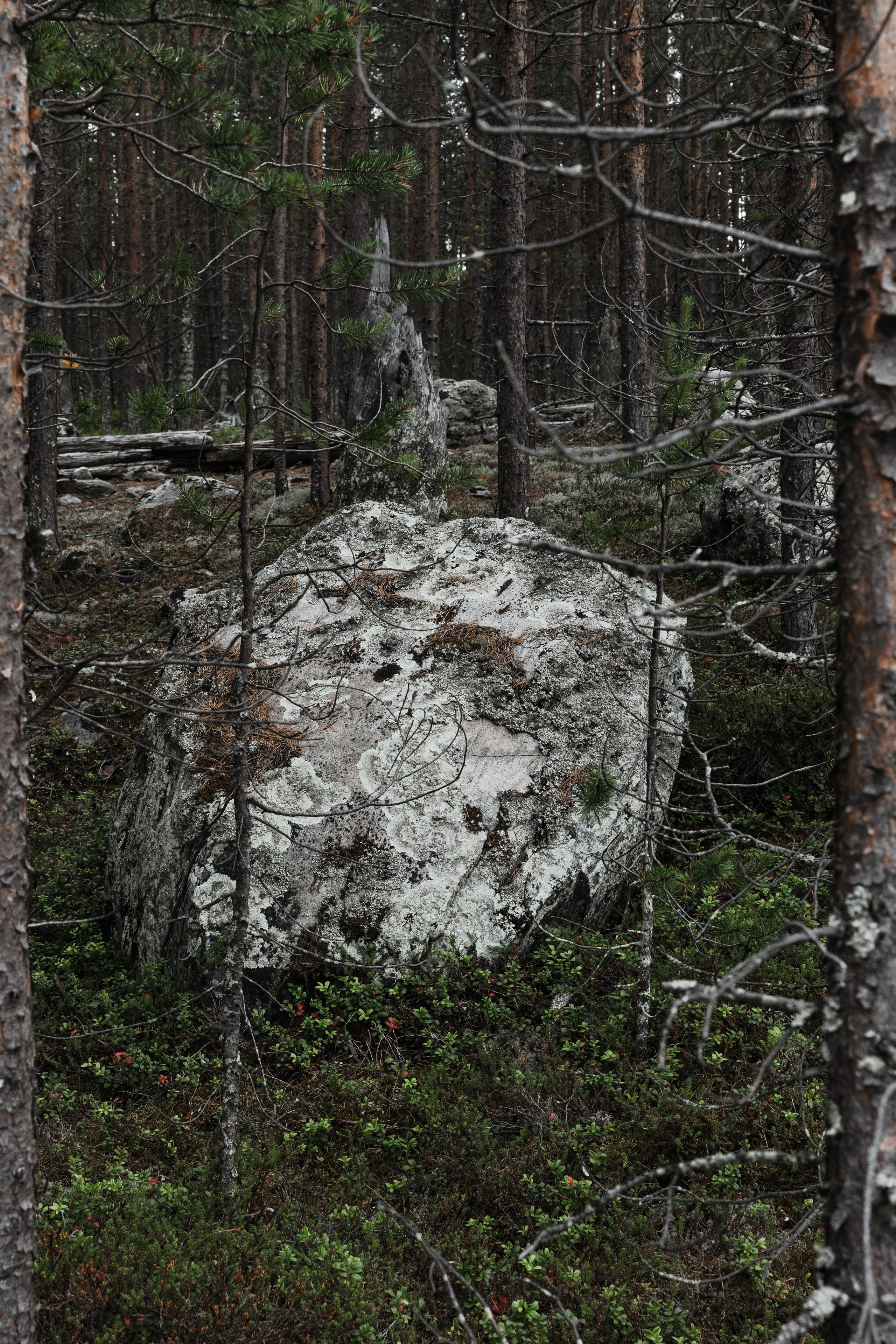 Оз. Колвицкое. Фотографии