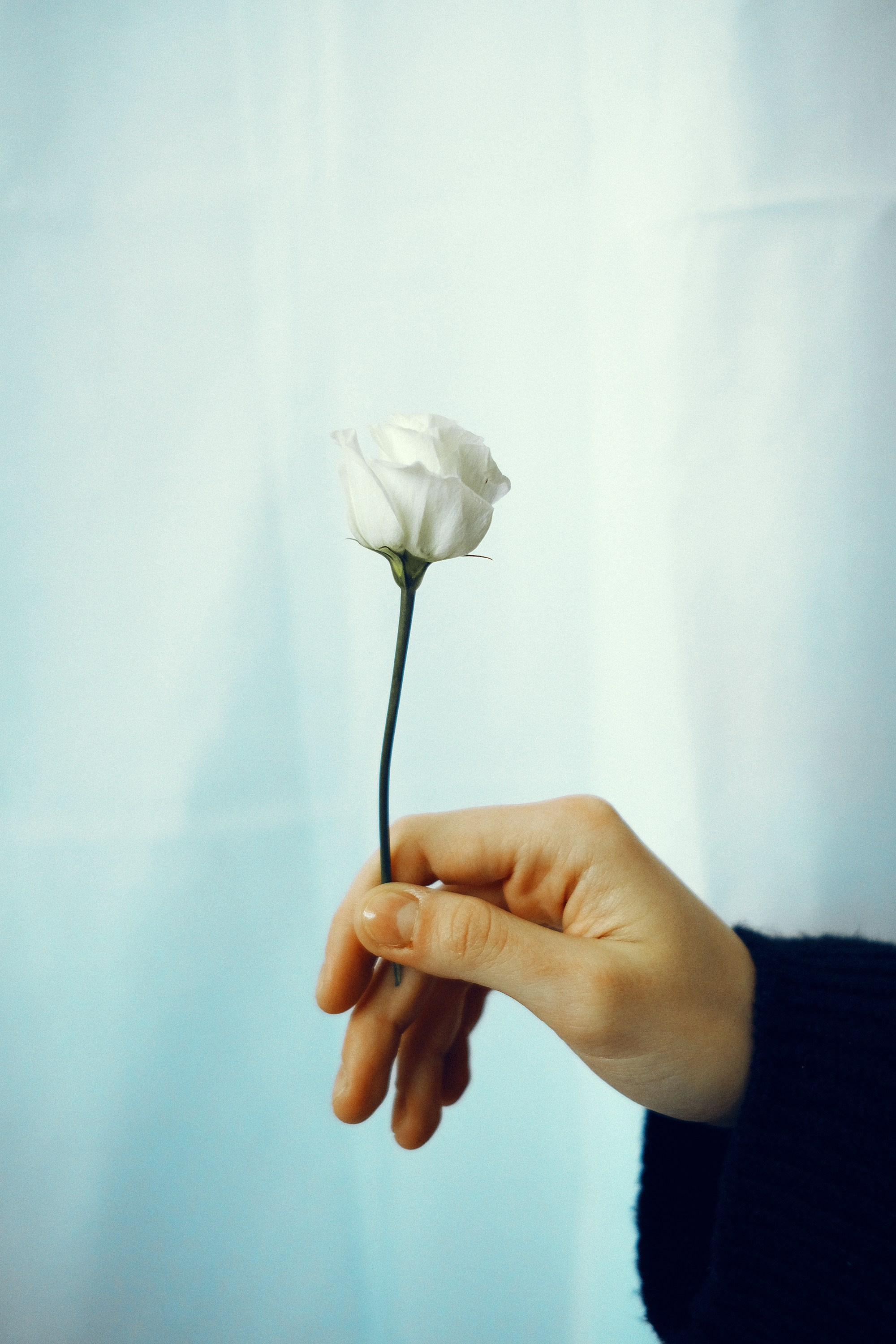 Анастасия. Anya.vision