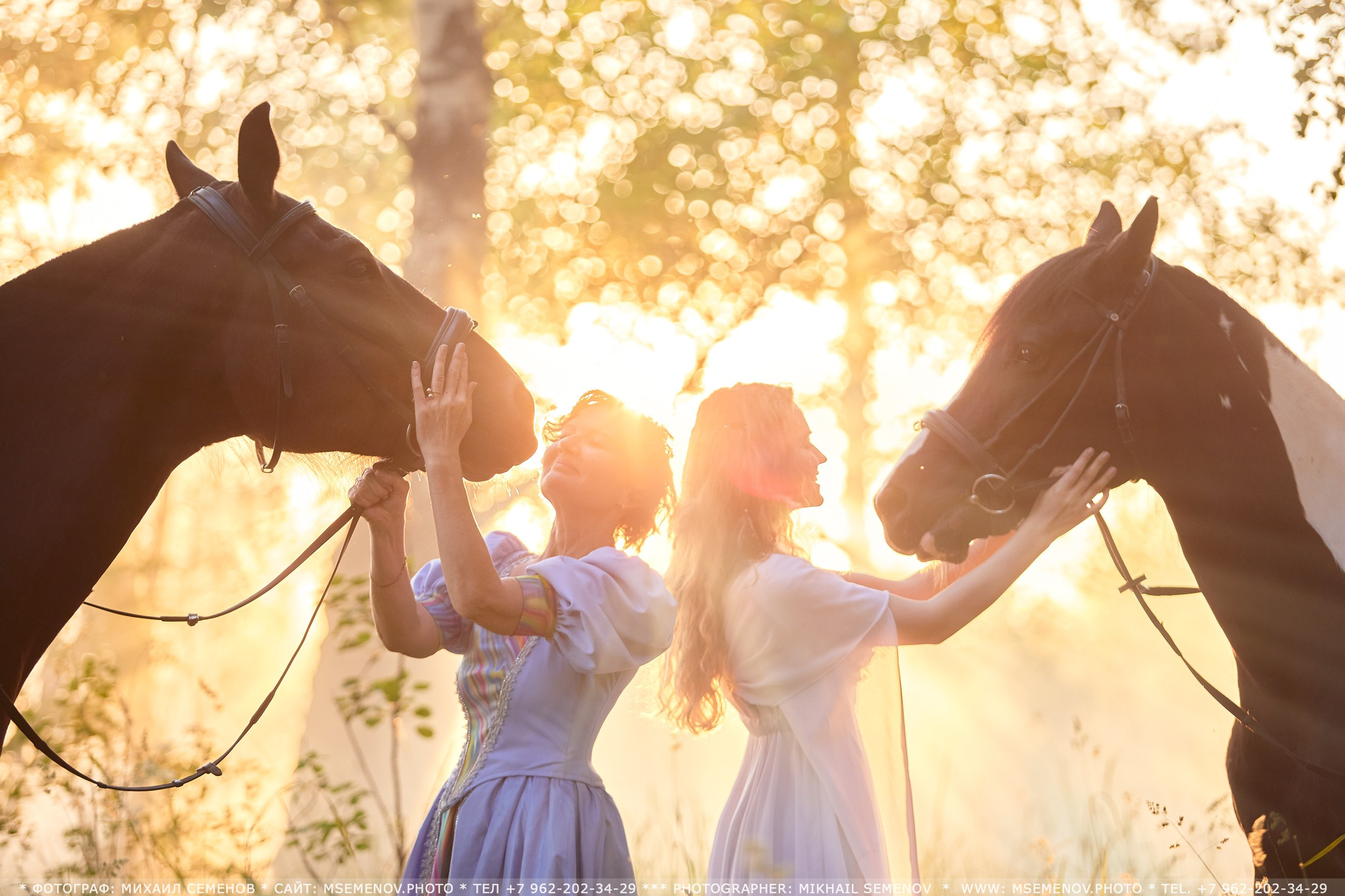 Фотосессия с лошадьми в г. Ярославль. Фотограф Михаил Семенов