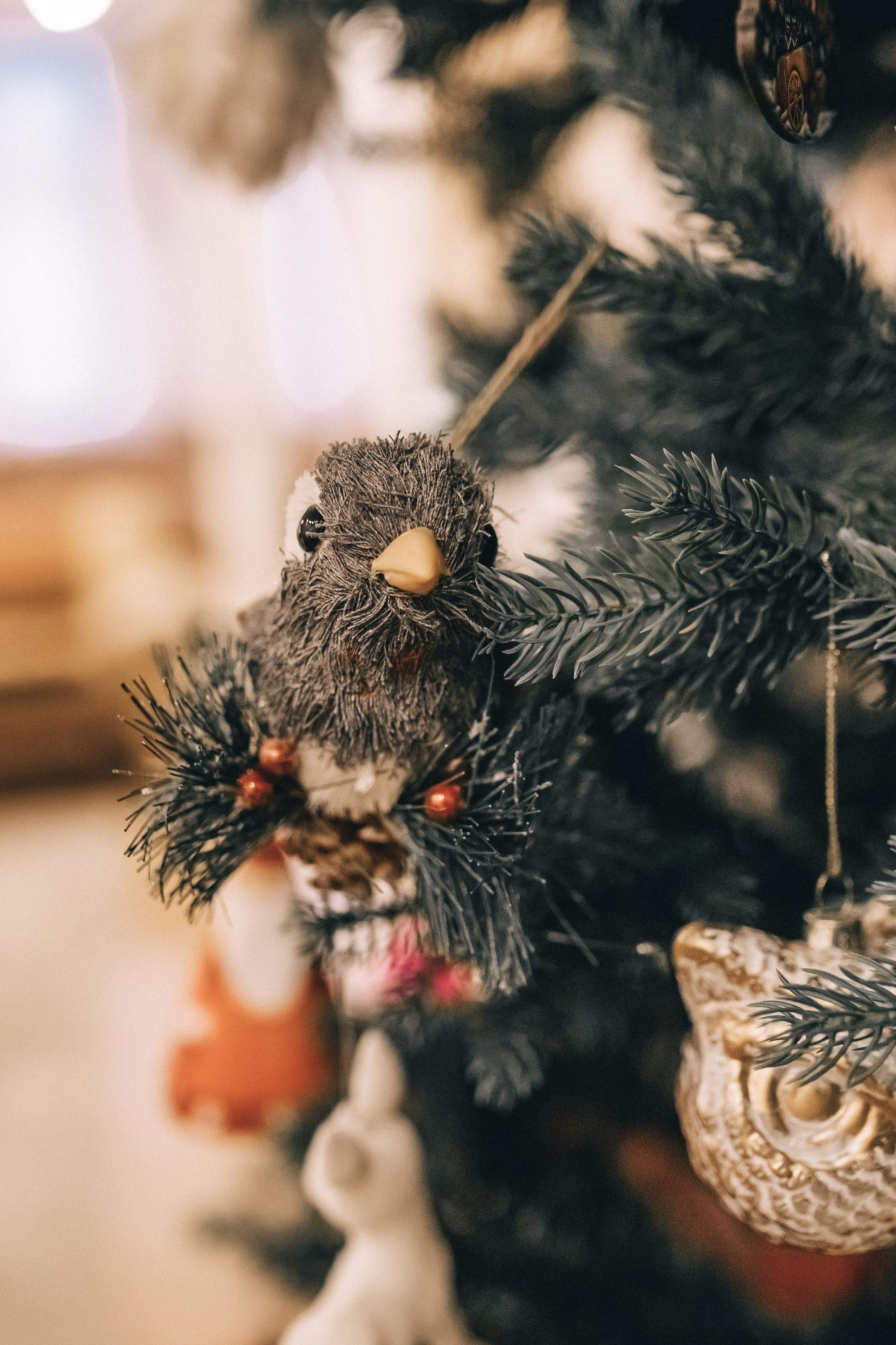 5 лет «пусть будет все, как ты захочешь:)». Профессиональный фотограф, Москва |Видное Елена Елизарова