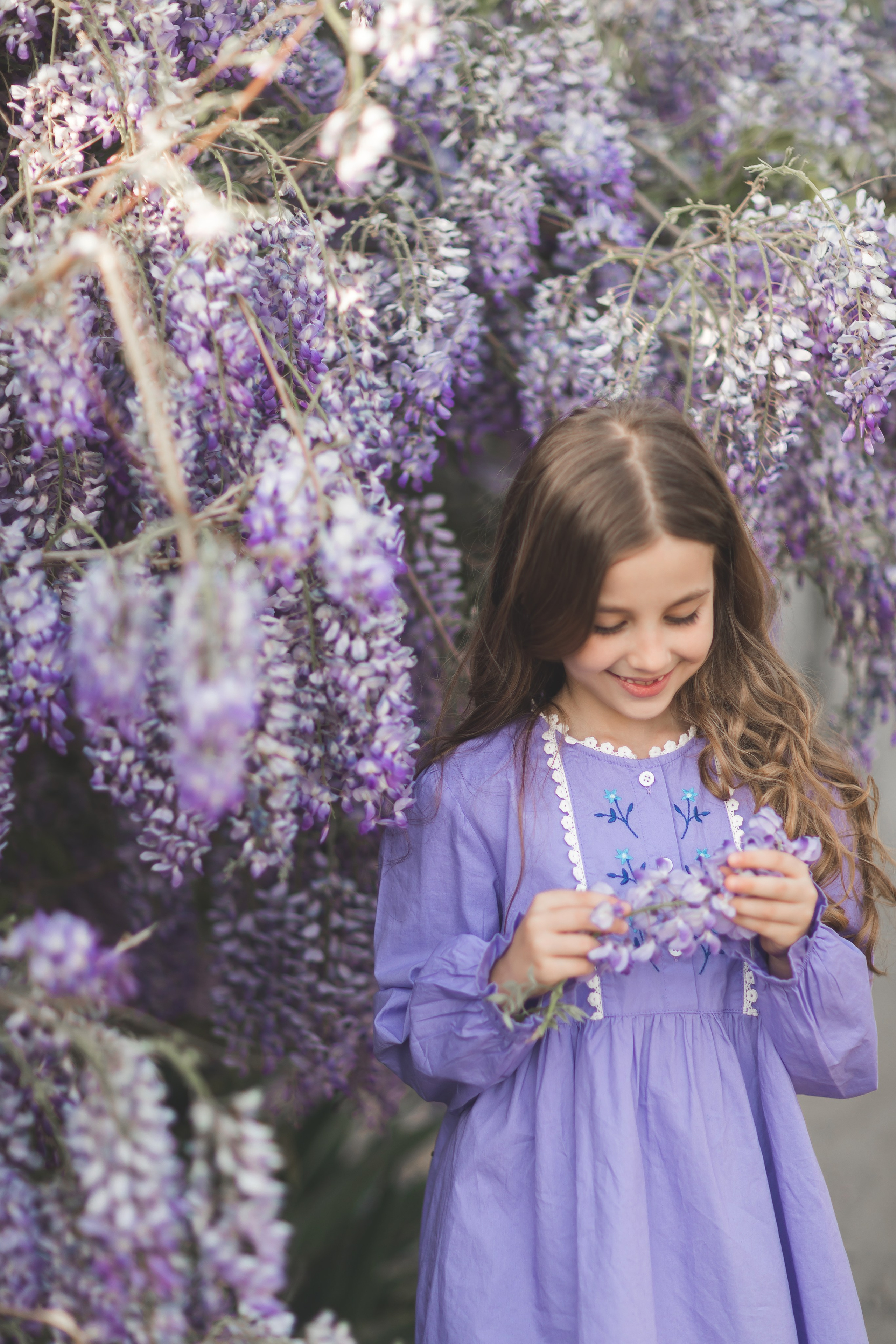 Глициния цветение в краснодаре. Семейный и детский фотограф Краснодар Валерия Власенко