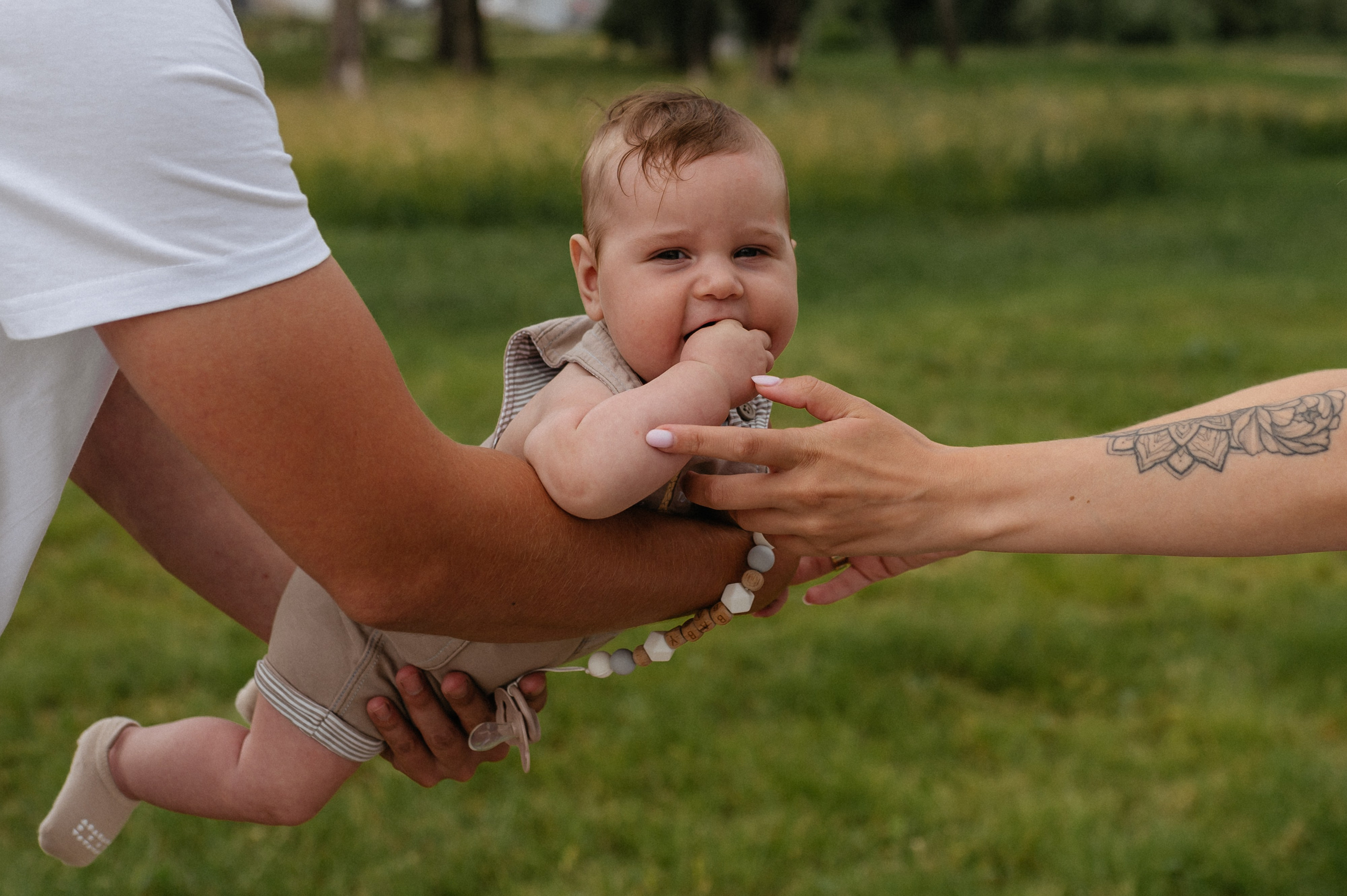 Прогулка в парке «Арена». Главная