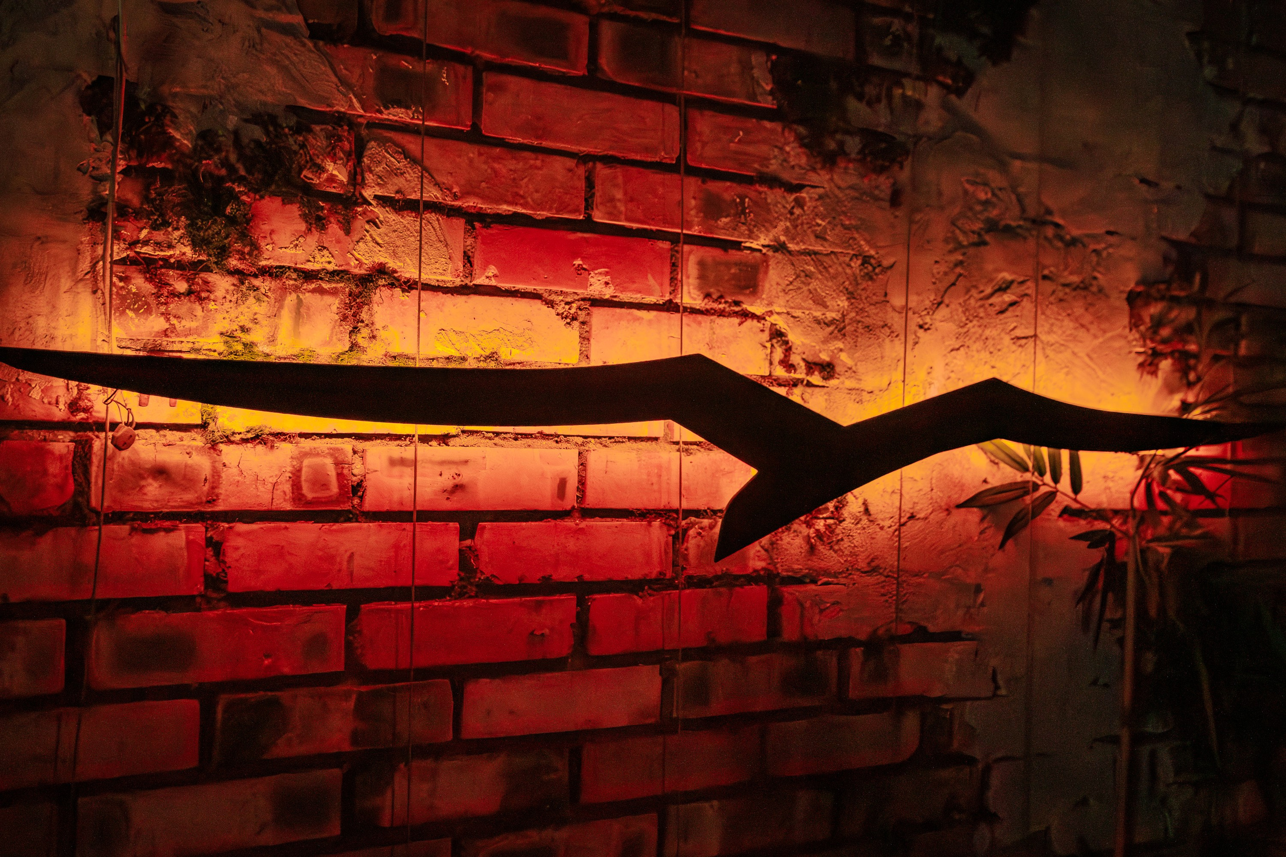 «Magic of BONEY`M «_Чайка на пляже_Ялта_06.12.2025 г. Аминов Руслан | Фотограф