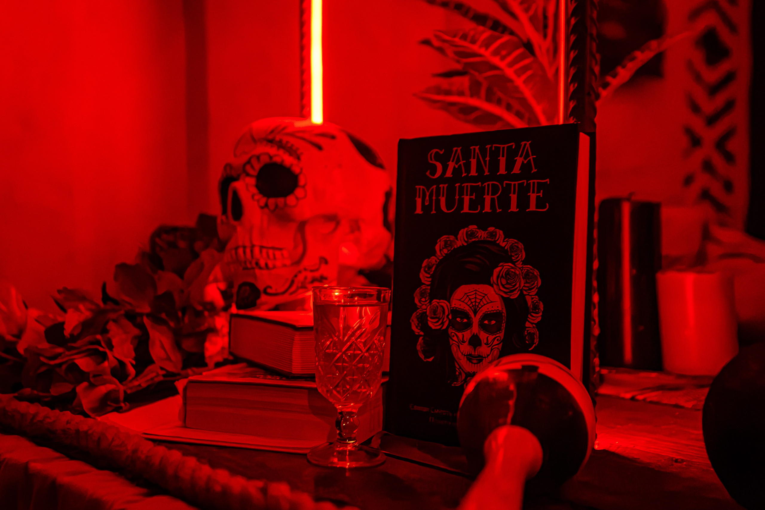 Dj Grek_El Pastor_Симферополь_30.11.2024. Аминов Руслан | Фотограф