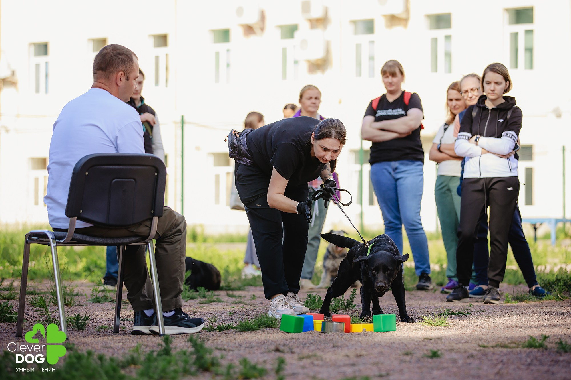 Семинар по поиску запаха с Иваном Ломовым, организатор CleverDog, СПб. Фотограф-анималист Mary Mart — Москва, Питер