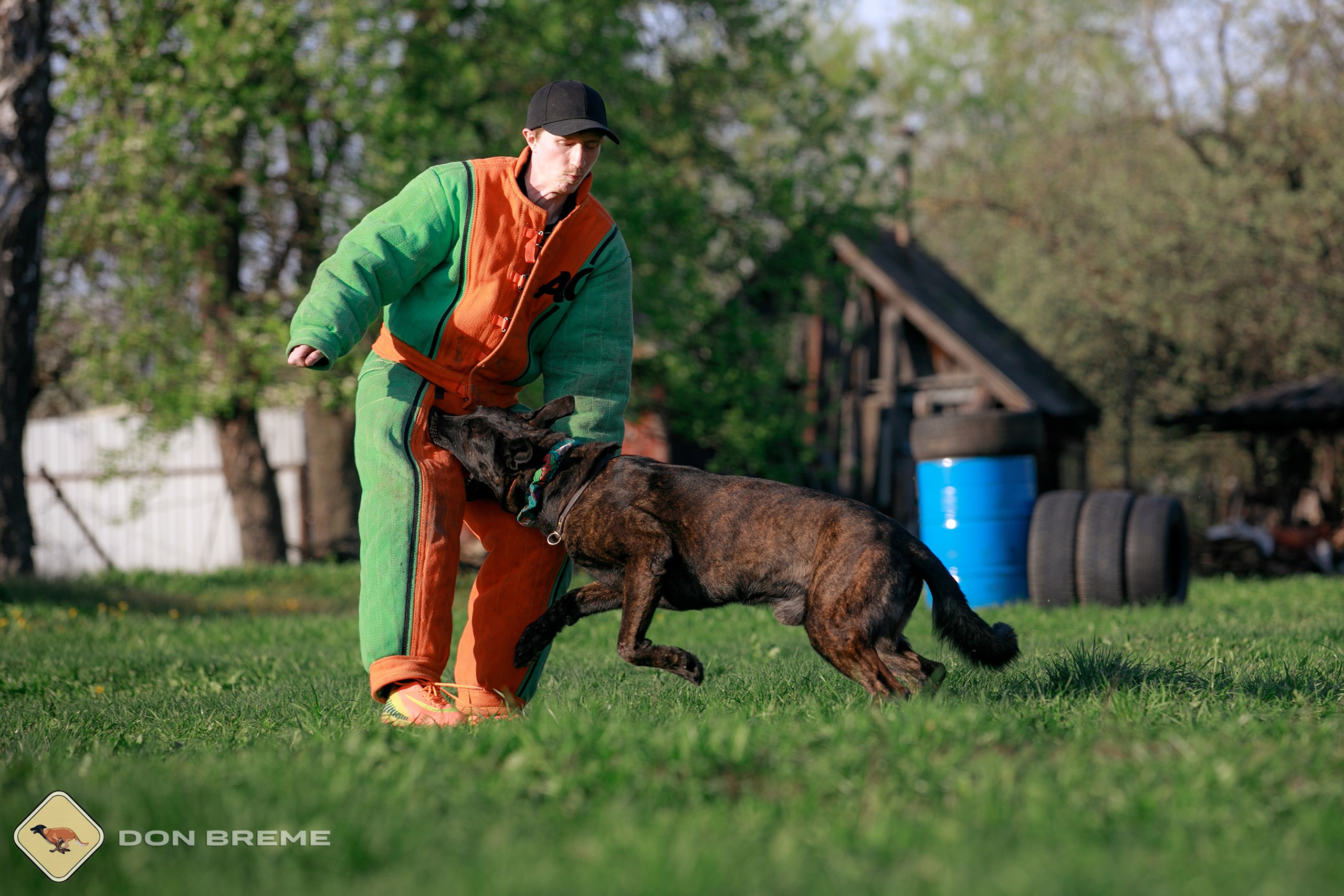 Семинар для фигурантов, день 4. Фотограф-анималист Mary Mart — Москва, Питер