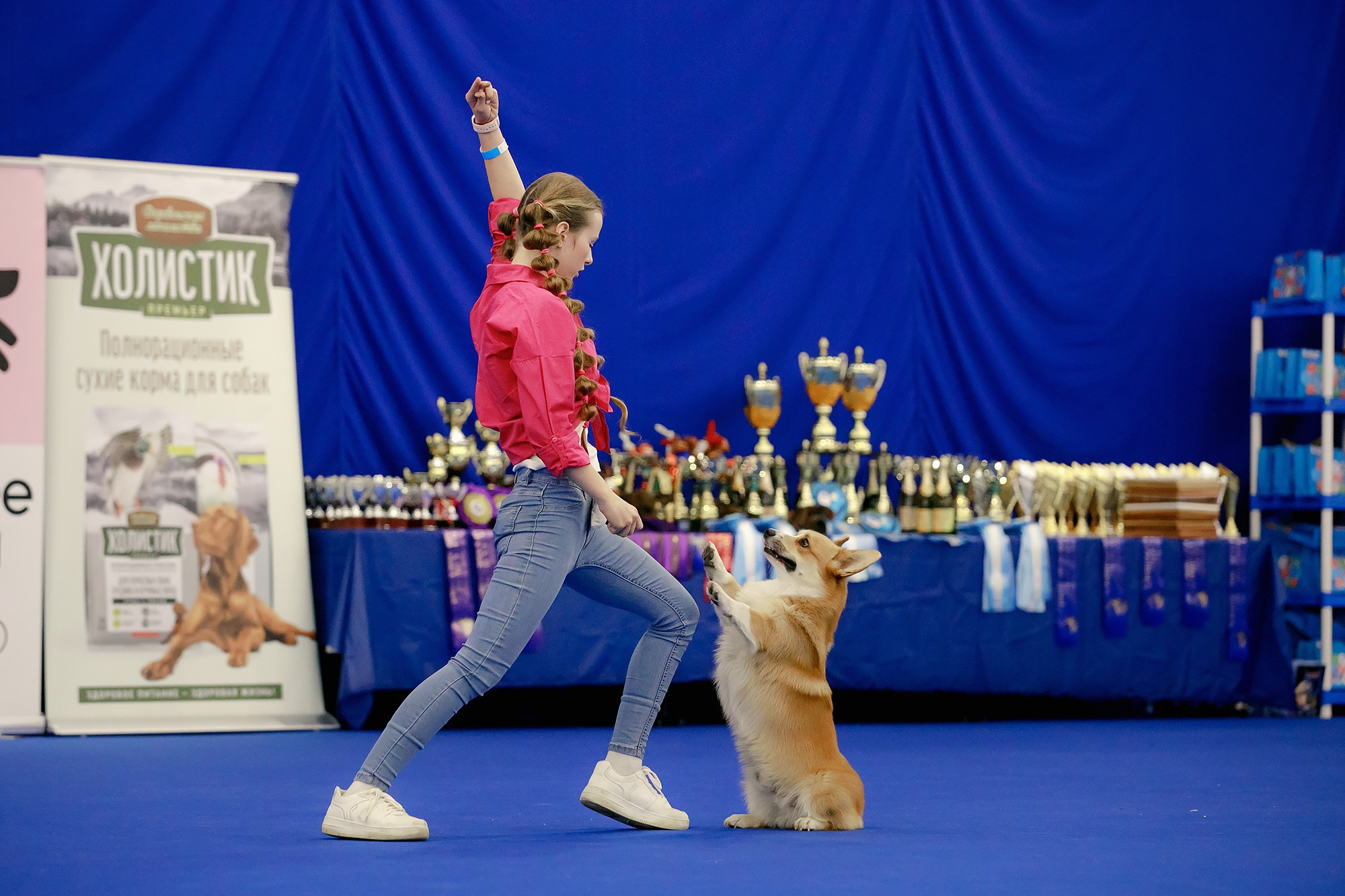 Танцы на выставке «Зоошоу», СПб. Фотограф-анималист Mary Mart — Москва, Питер