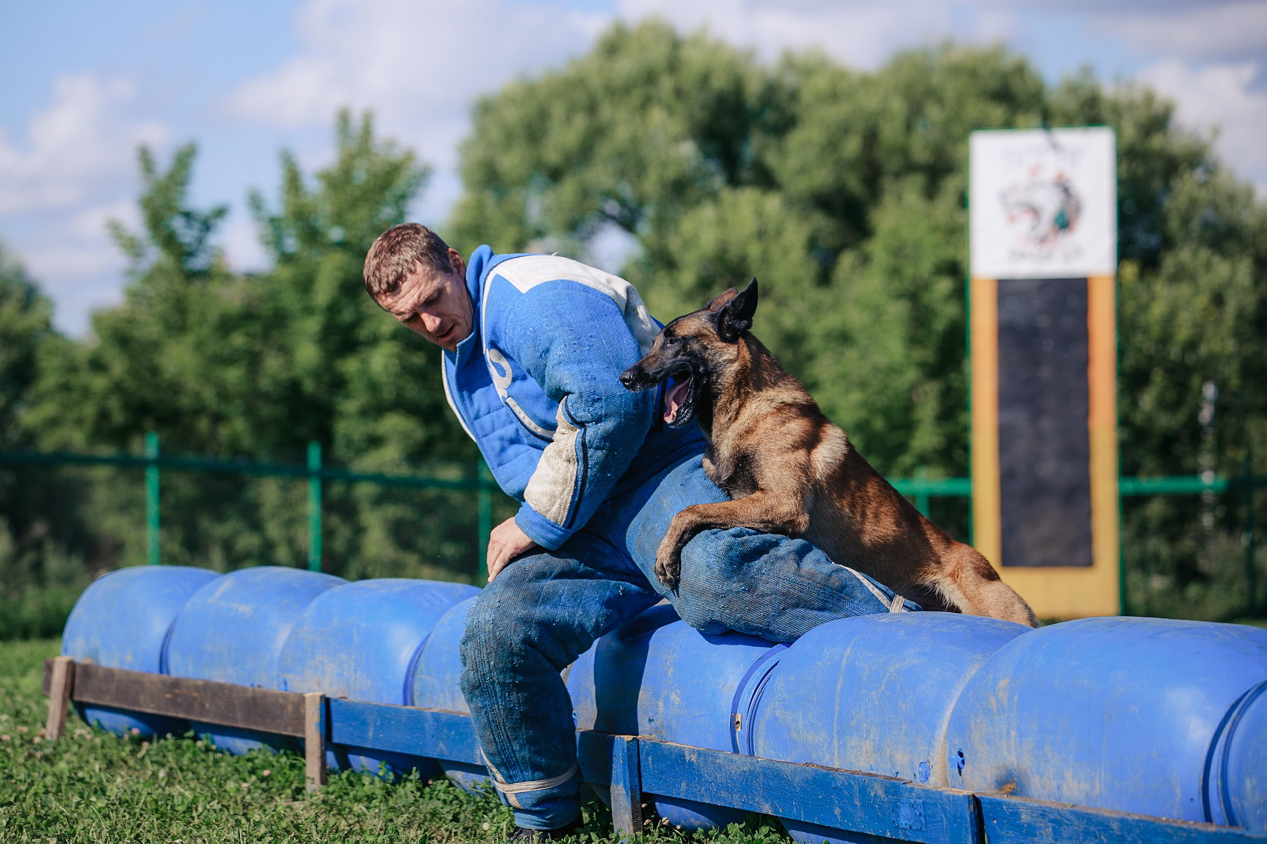 Мондьоринг М1, М2, М3, Вологда. Фотограф-анималист Mary Mart — Москва, Питер