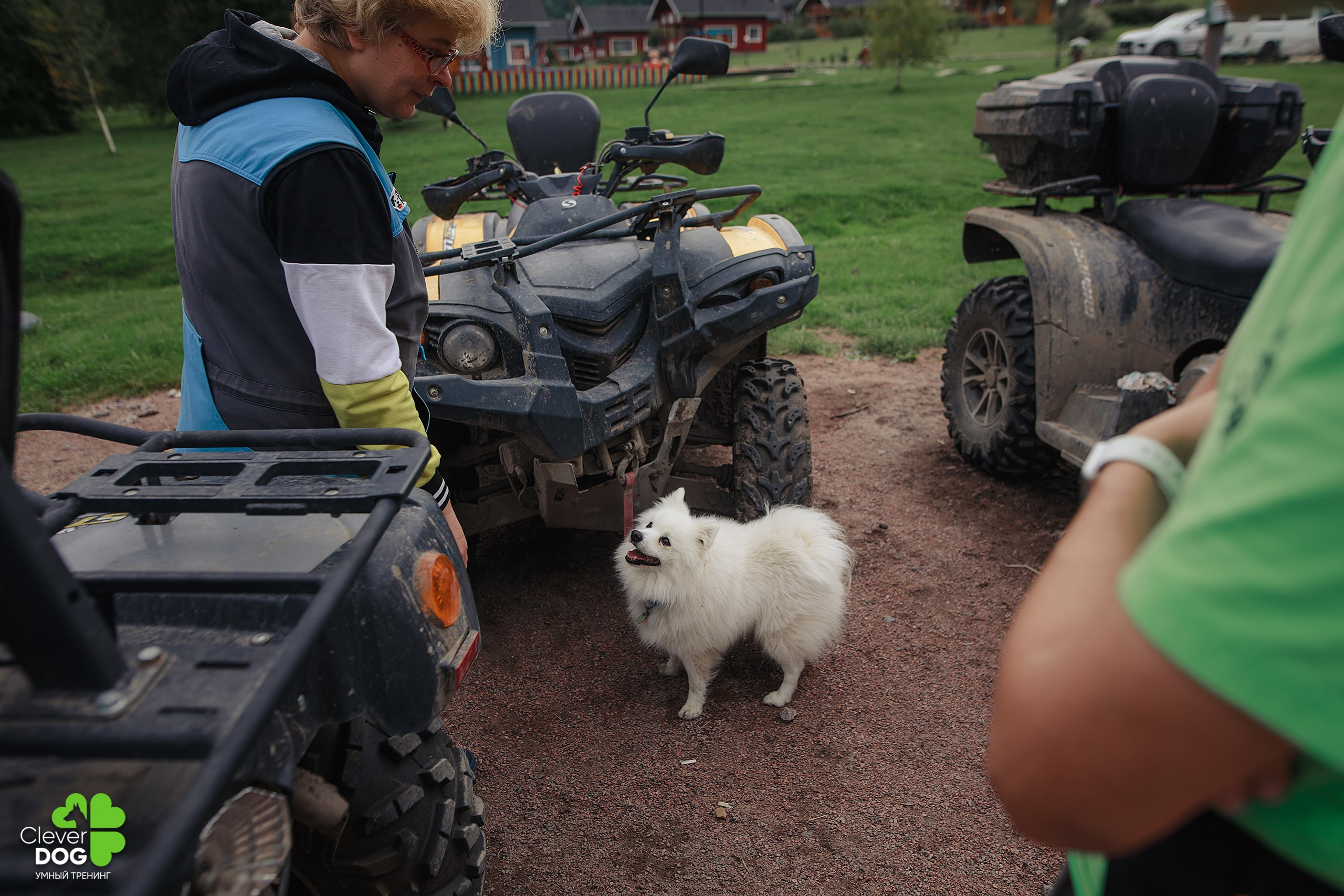 Кинологический лагерь CleverDog, 2024. Фотограф-анималист Mary Mart — Москва, Питер