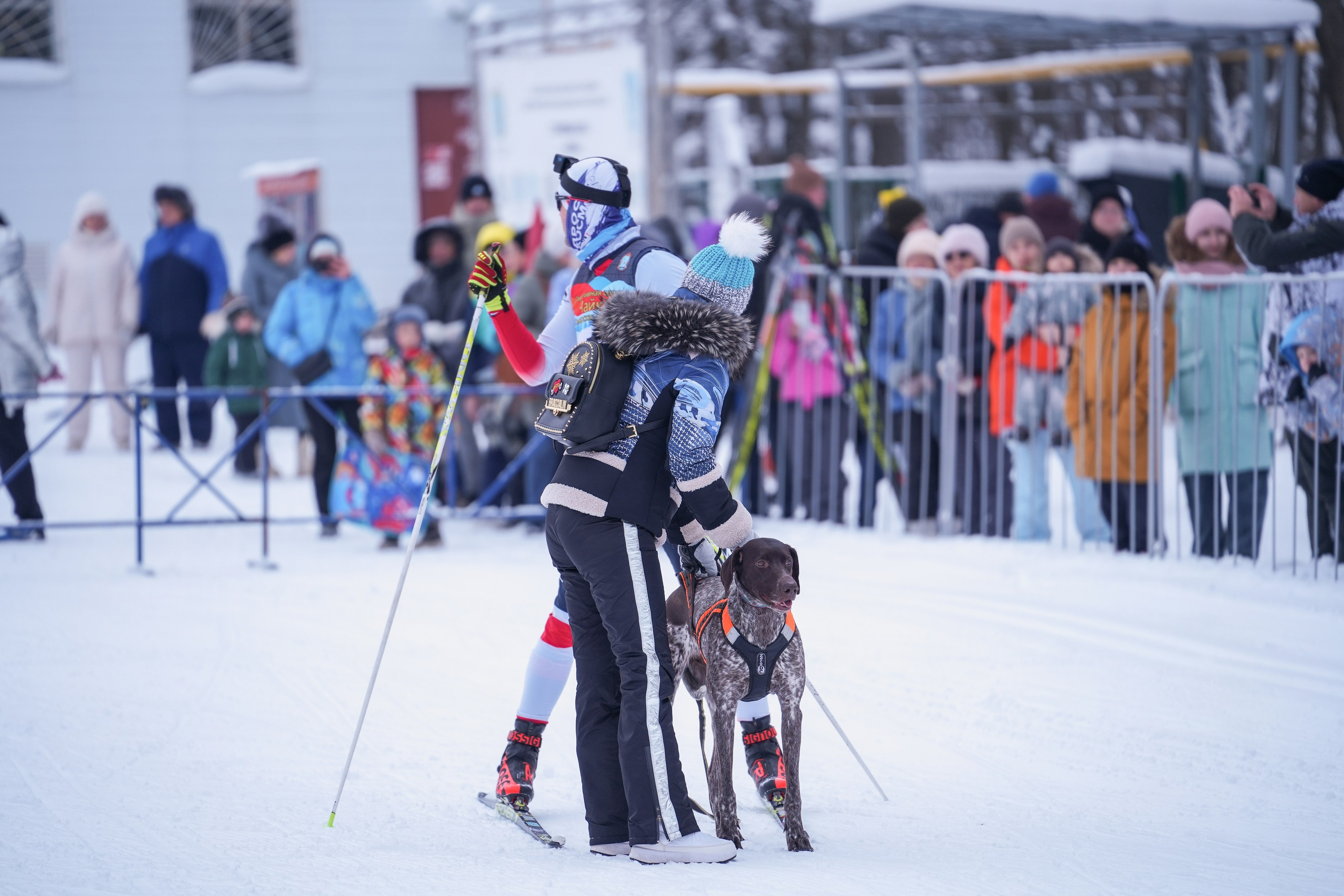Рождественские гонки на собаках. Т/б «Чайка». Семейный фотограф Владимир Просвиркин. г. Самара