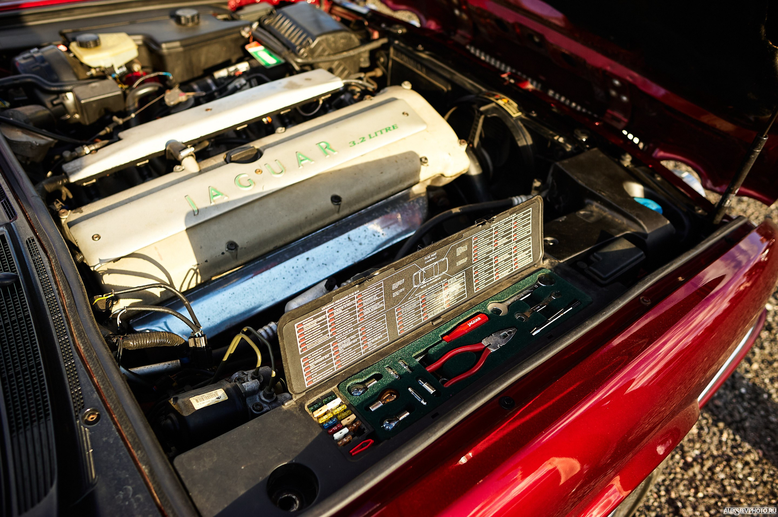 Tsunami Picnic 2020 — expo. Фотограф Алексей Алексеев