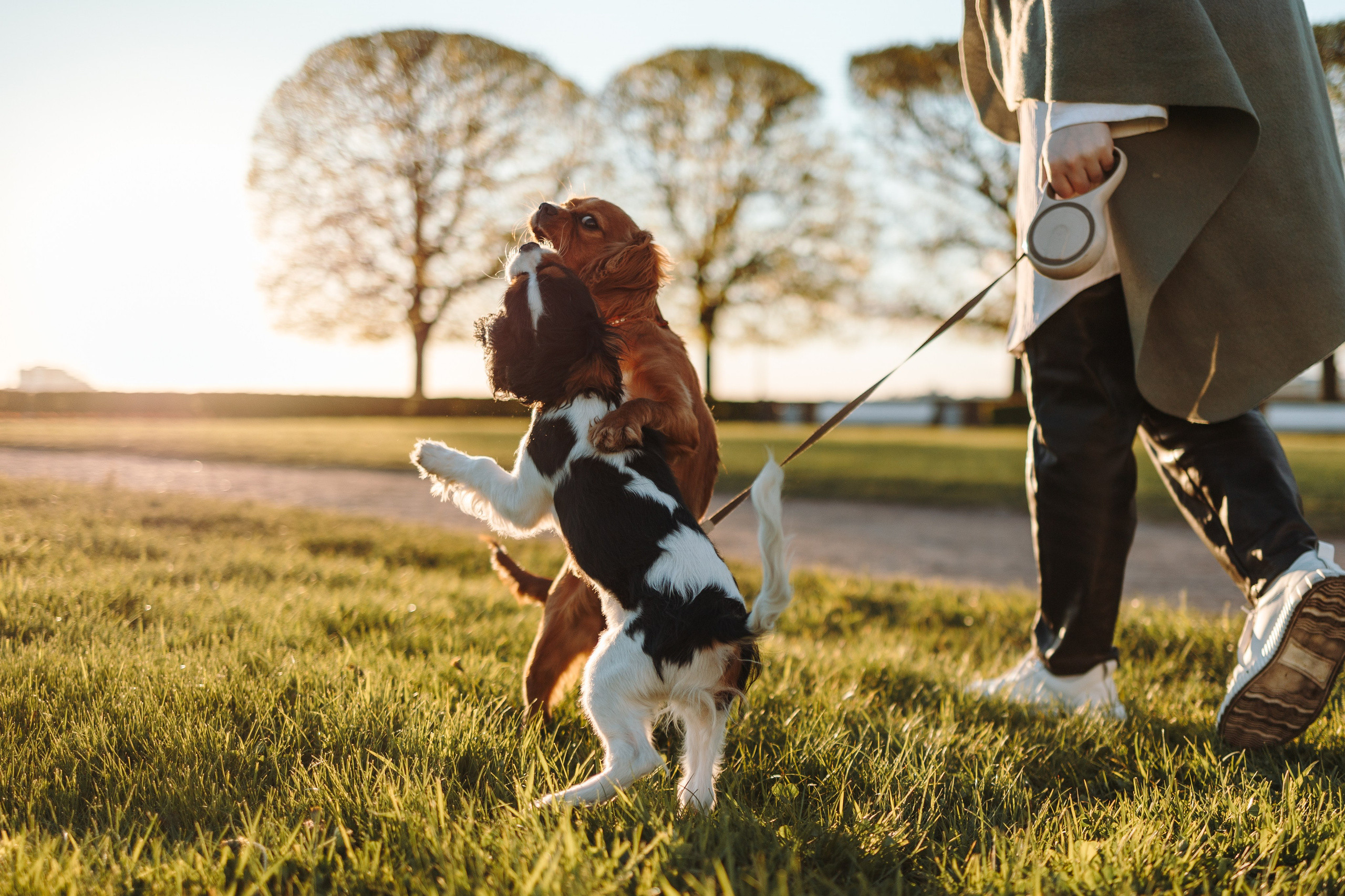 Аня, Стеша и Степан. Фотограф — Анималист | Санкт-Петербург