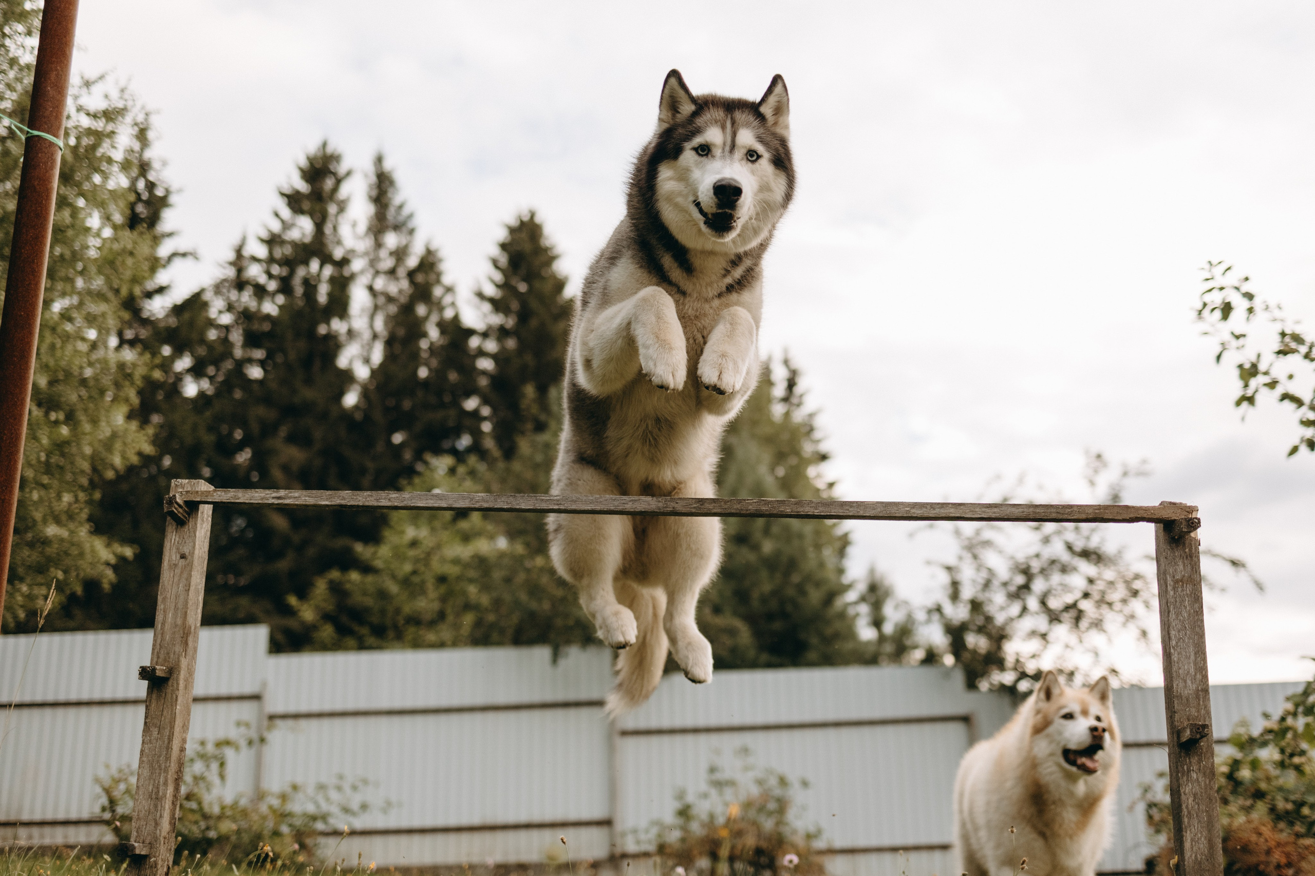 Дом у реки. Фотограф — Анималист | Санкт-Петербург
