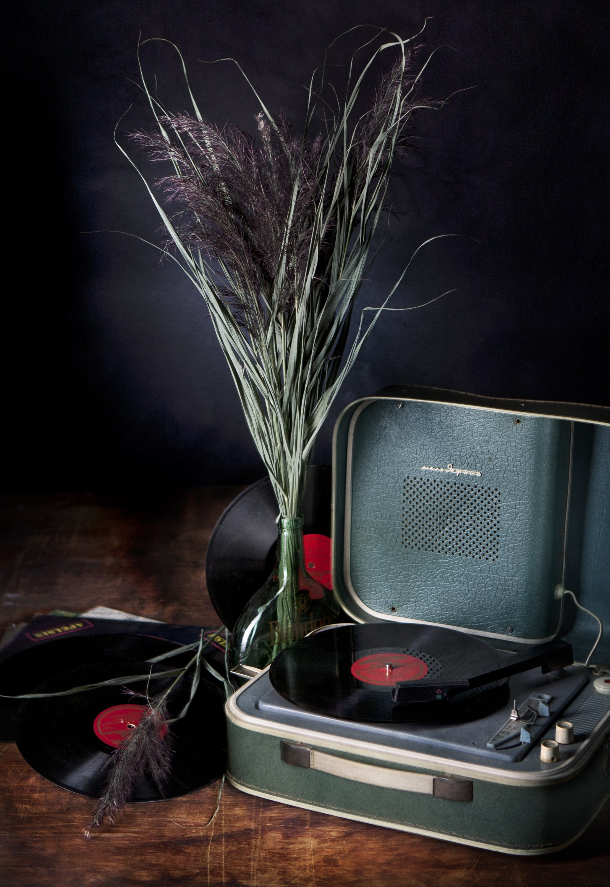 Цветы. Фотограф Мария Кольцова