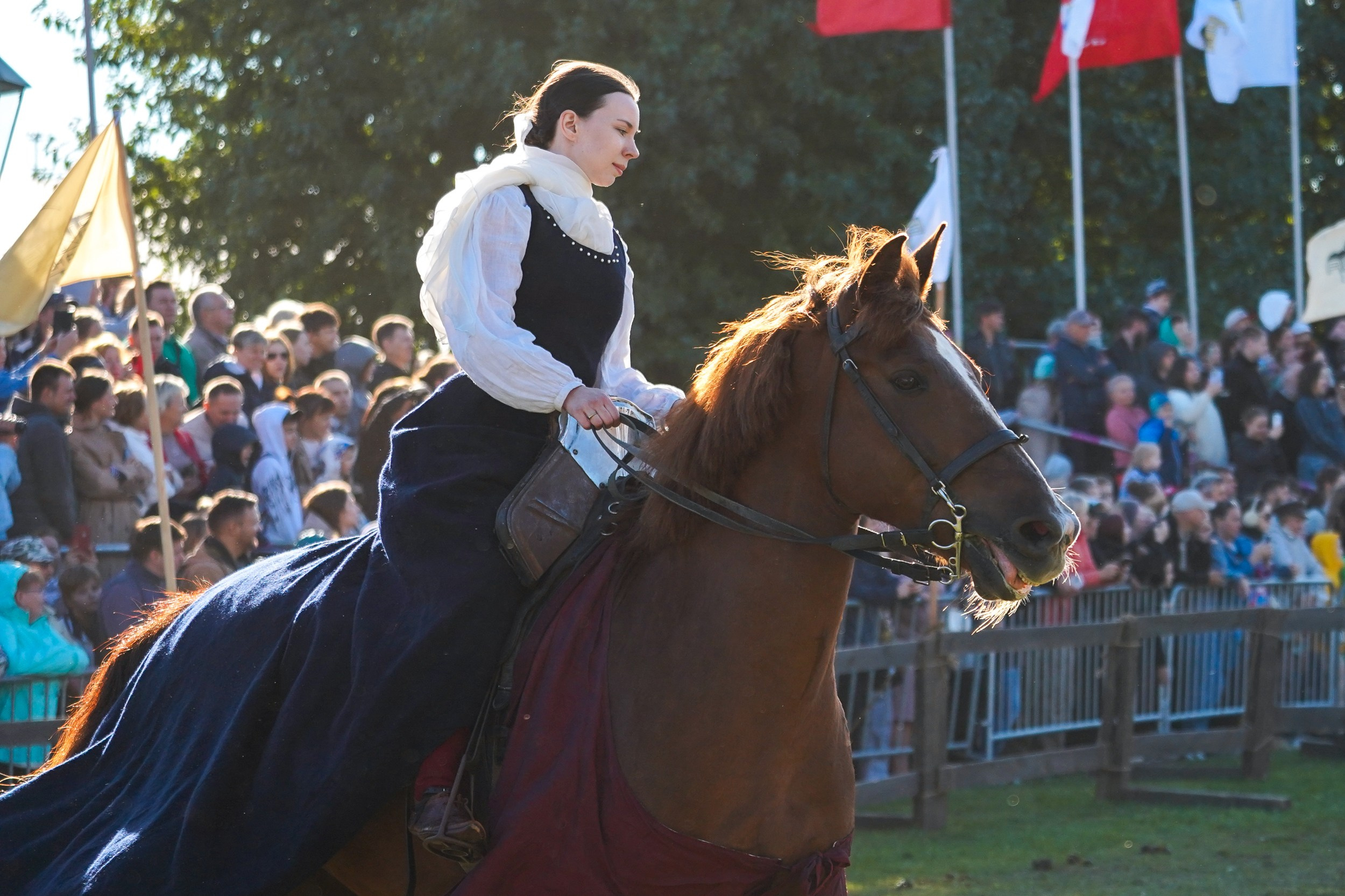 Рыцарский турнир в рамках фестиваля «Битва на Неве» Санкт-Петербург 2024 г. Фотограф-анималист, портретный фотограф в Чебоксарах Мария Садыкова