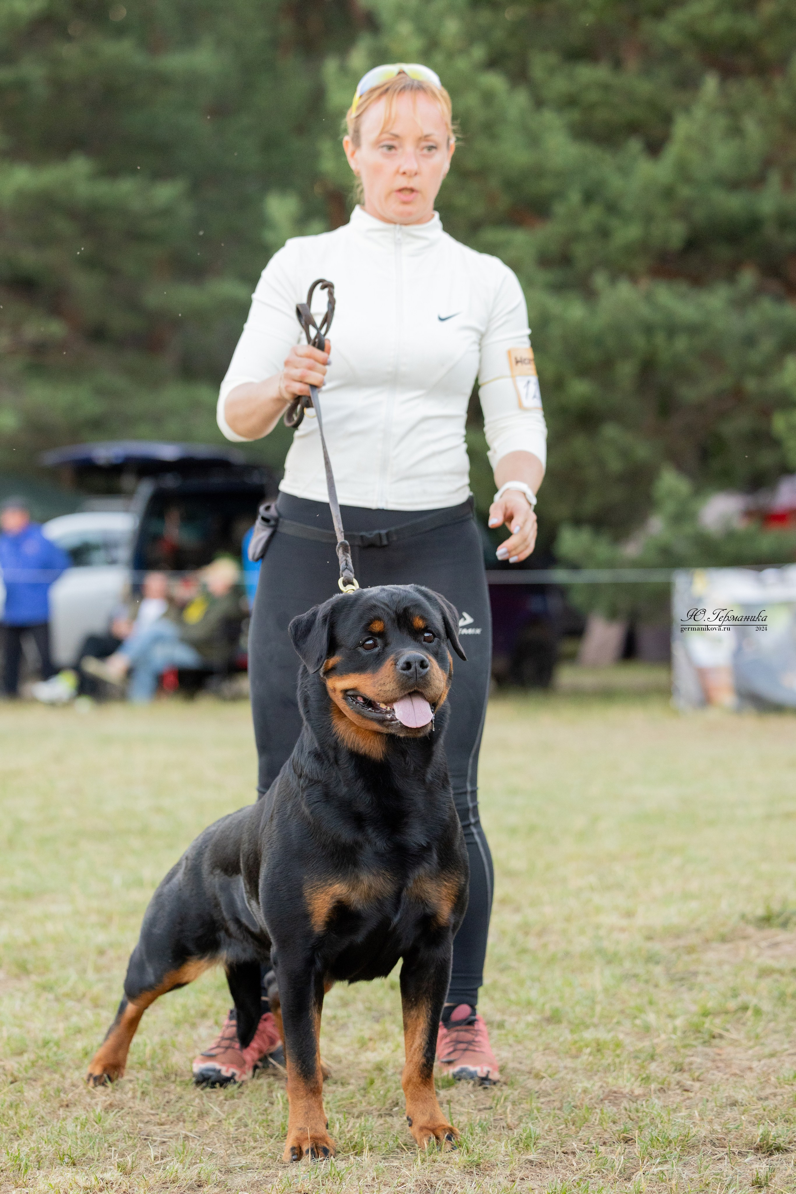 ПК и КЧК ротвейлеры Тверь 6-7.07.2024. Фотограф-анималист Юлия Германика
