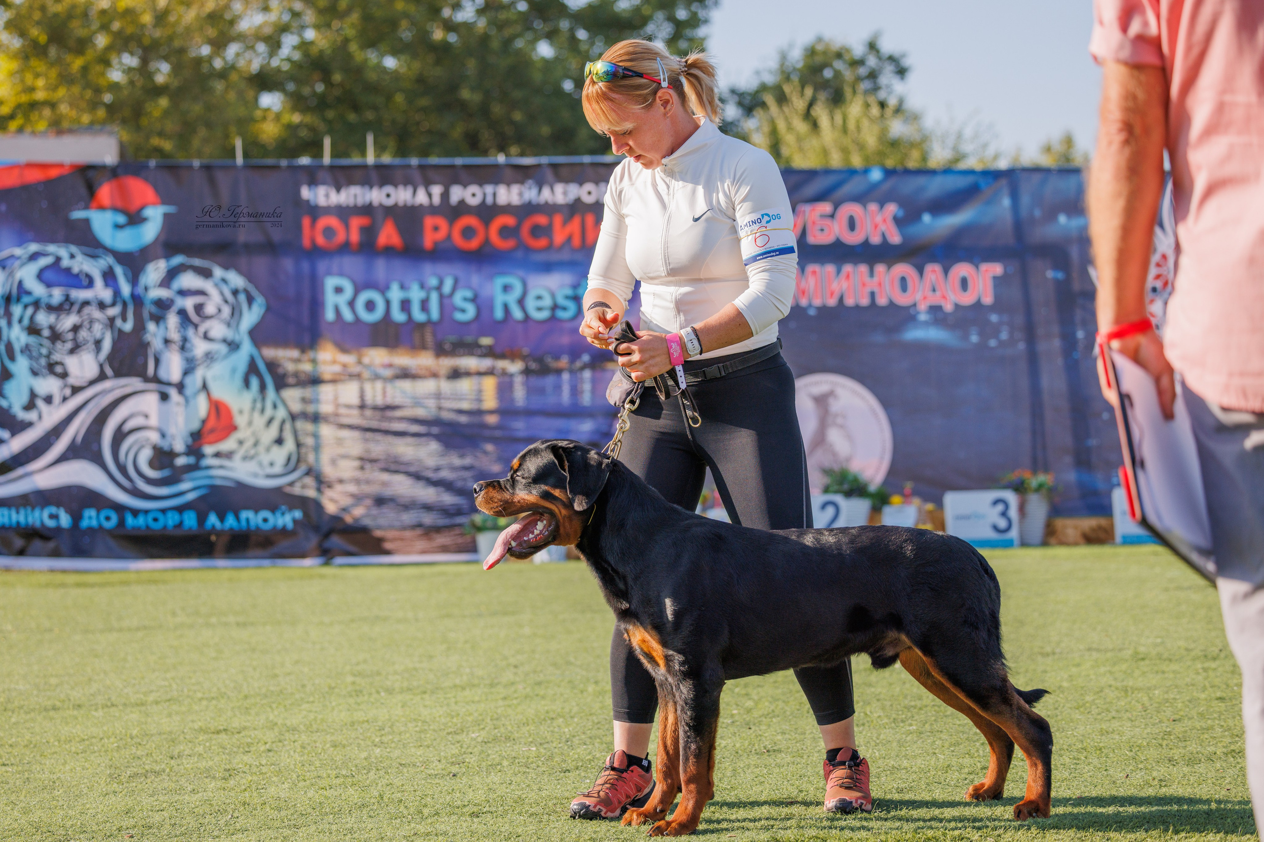 Анапа ротвейлеры 14-15.09.2024. Фотограф-анималист Юлия Германика