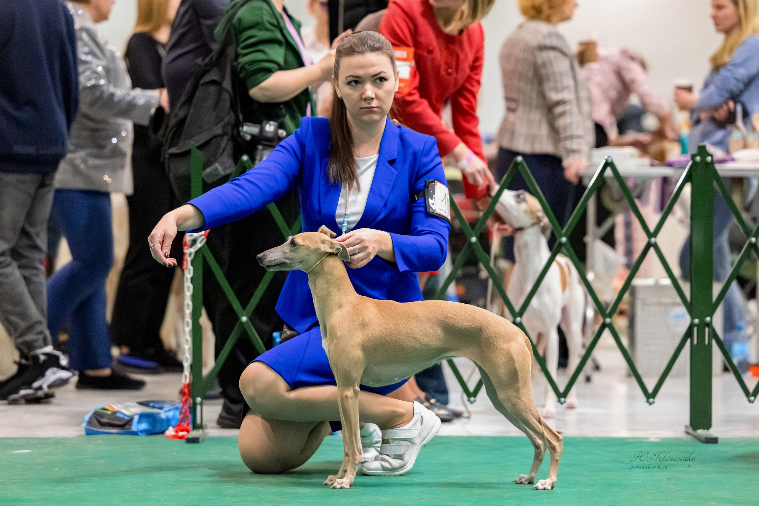 Крокус 21.12.2024,Сфера 29.12.2024. Фотограф-анималист Юлия Германика