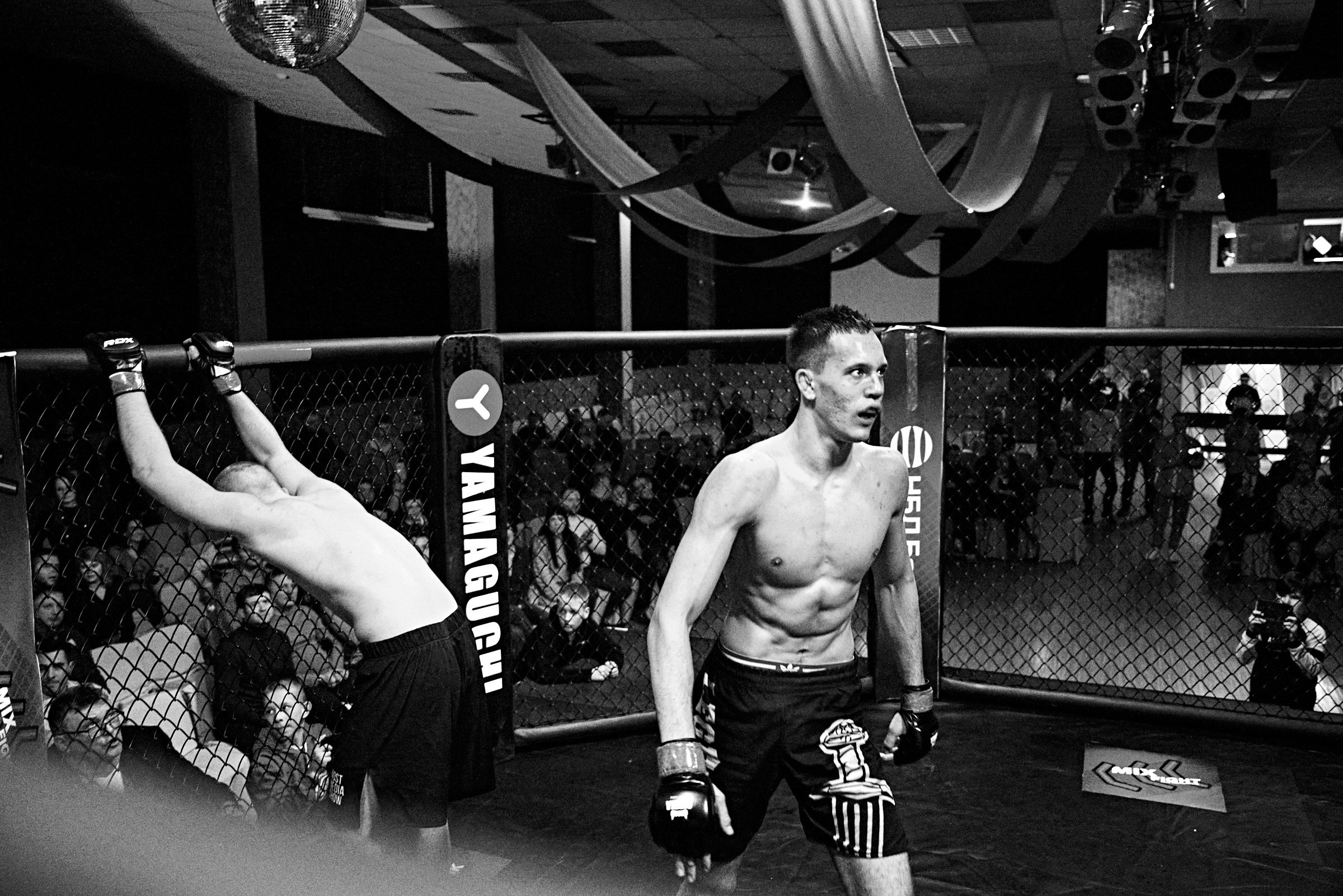 Бои. Маляревич Дмитрий свадебный фотограф