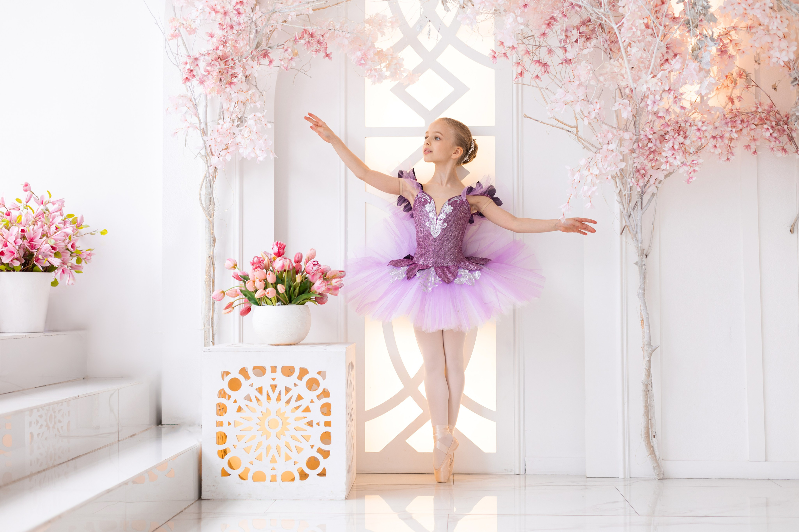 Балетная съёмка в интерьере. Балетный фотограф Алина Ханько — Душа Балета