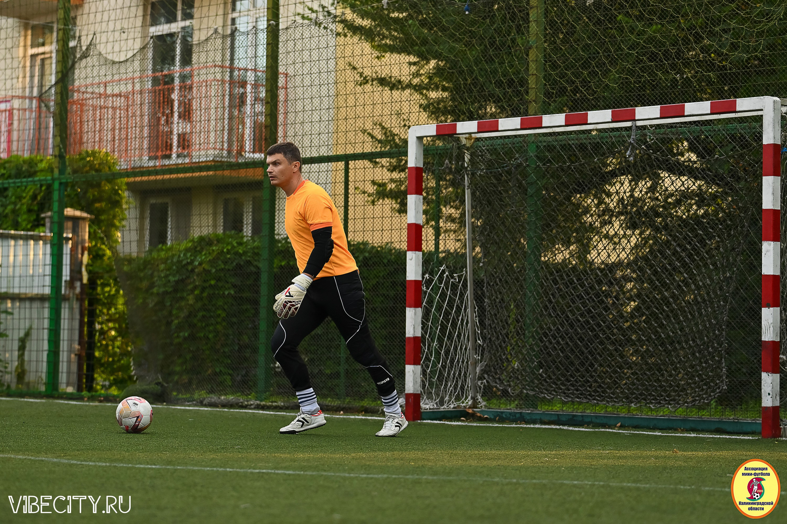ИГРЫ ПЛЕЙ-ОФФ ПЕРВОГО ДИВИЗИОНА МИНИ-ФУТБОЛЬНОЙ ЛИГИ. VIBECITY.RU Вайб Сити Ру Фоторепортажи Фотоотчеты Калининград