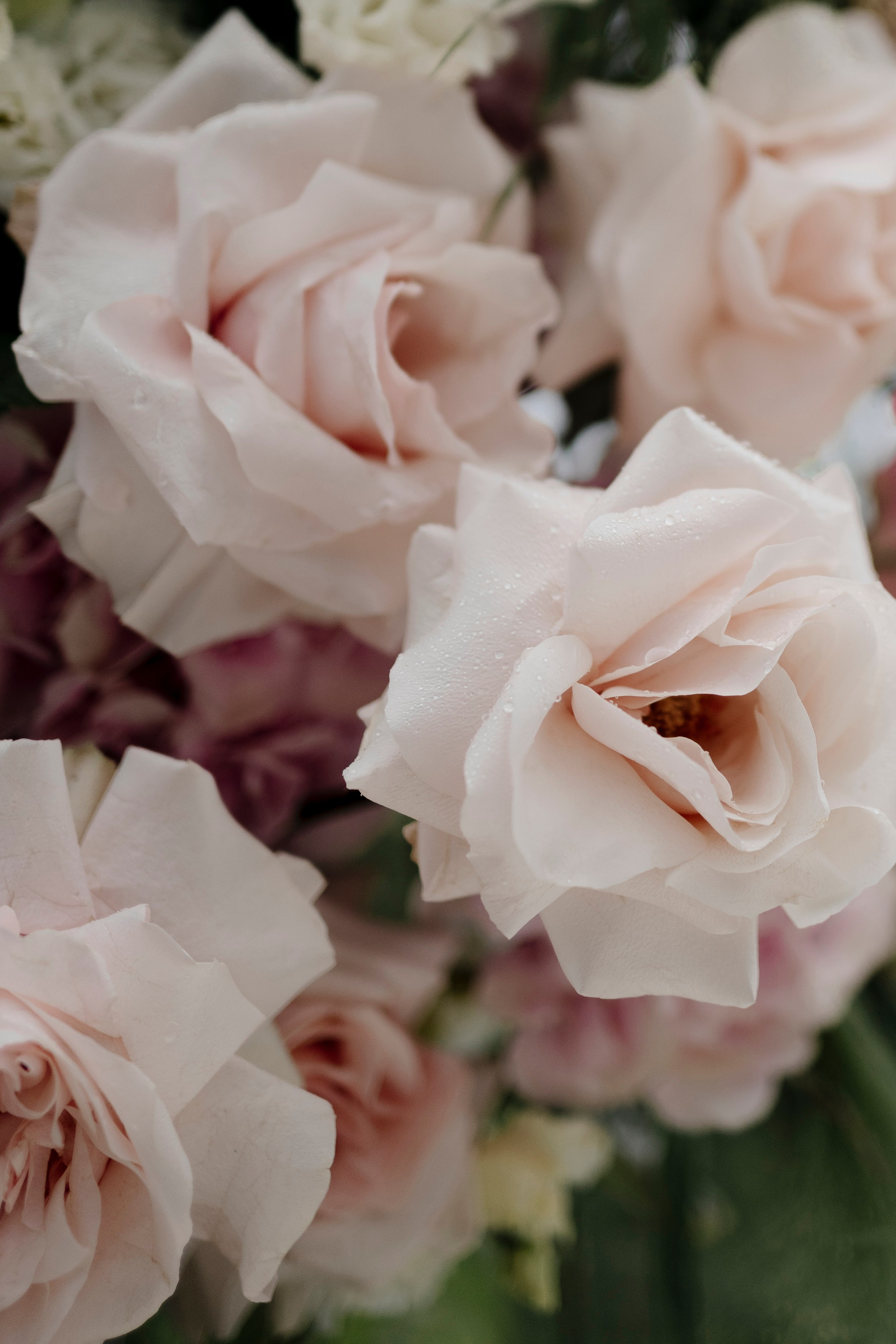 Свадьба Никиты и Анны. Фотограф Кольчугино/Владимир/Москва Елизавета Иода