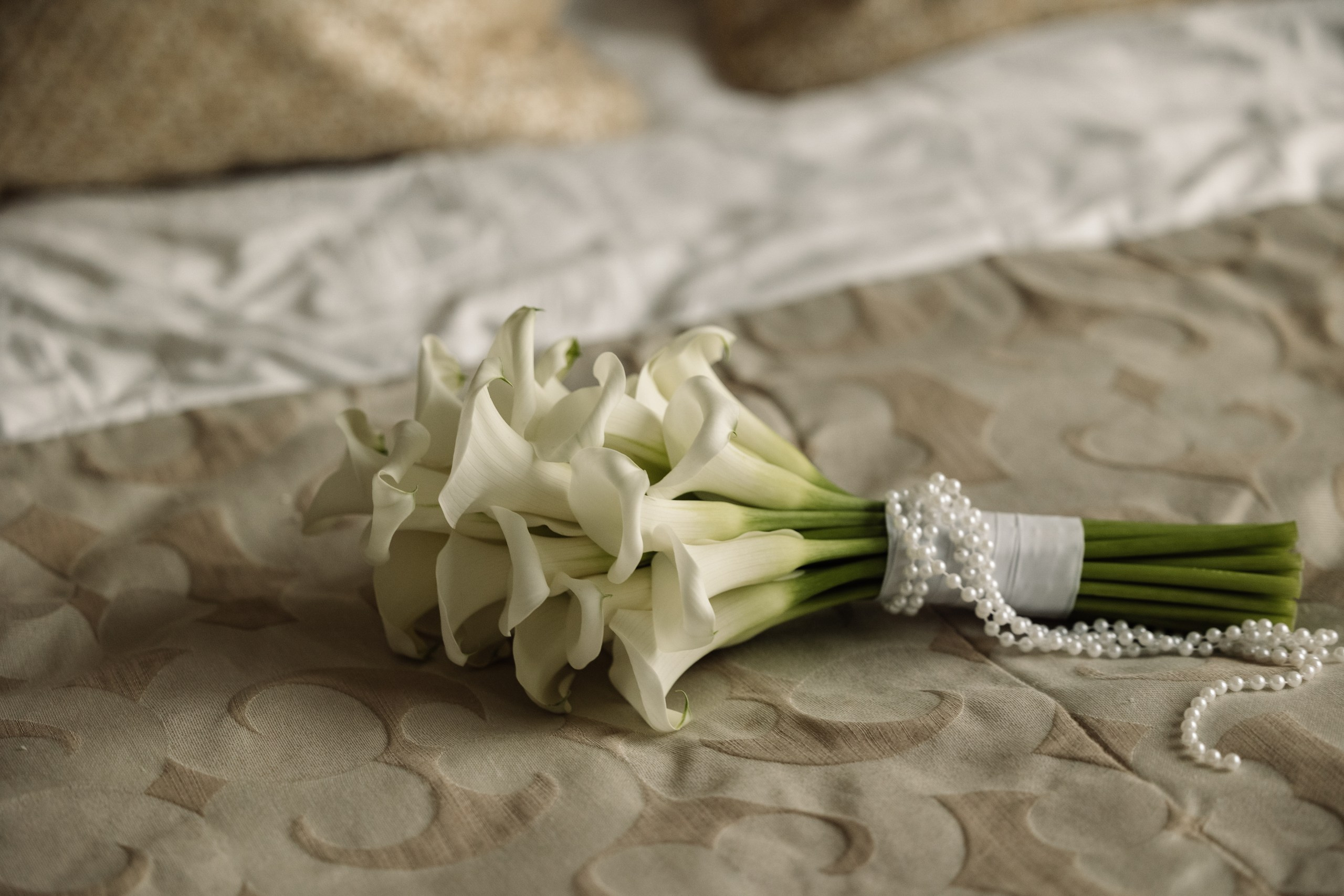 Илья и Даша