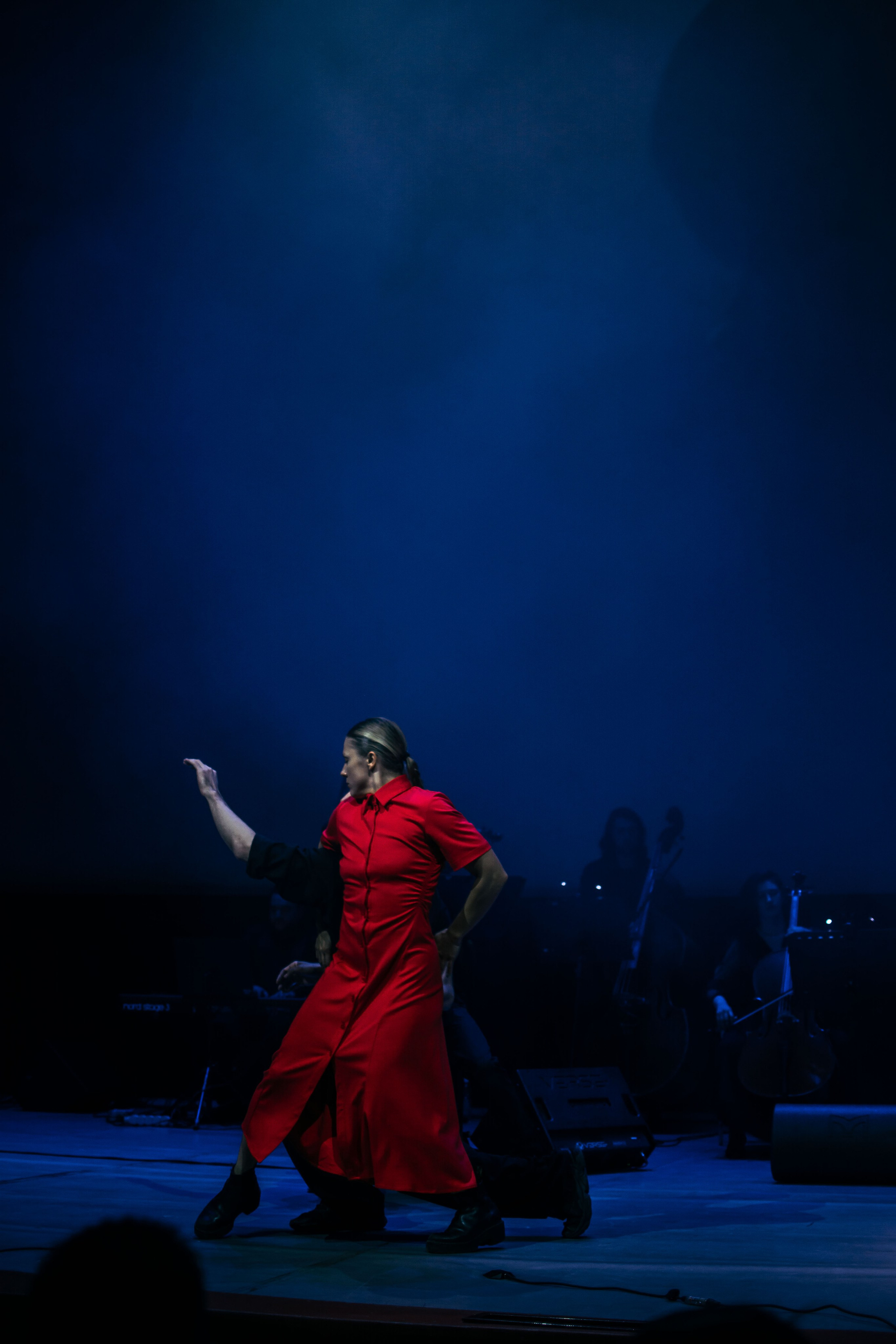 Концерт оркестра Cinematica. Репортажный фотограф в Новосибирске