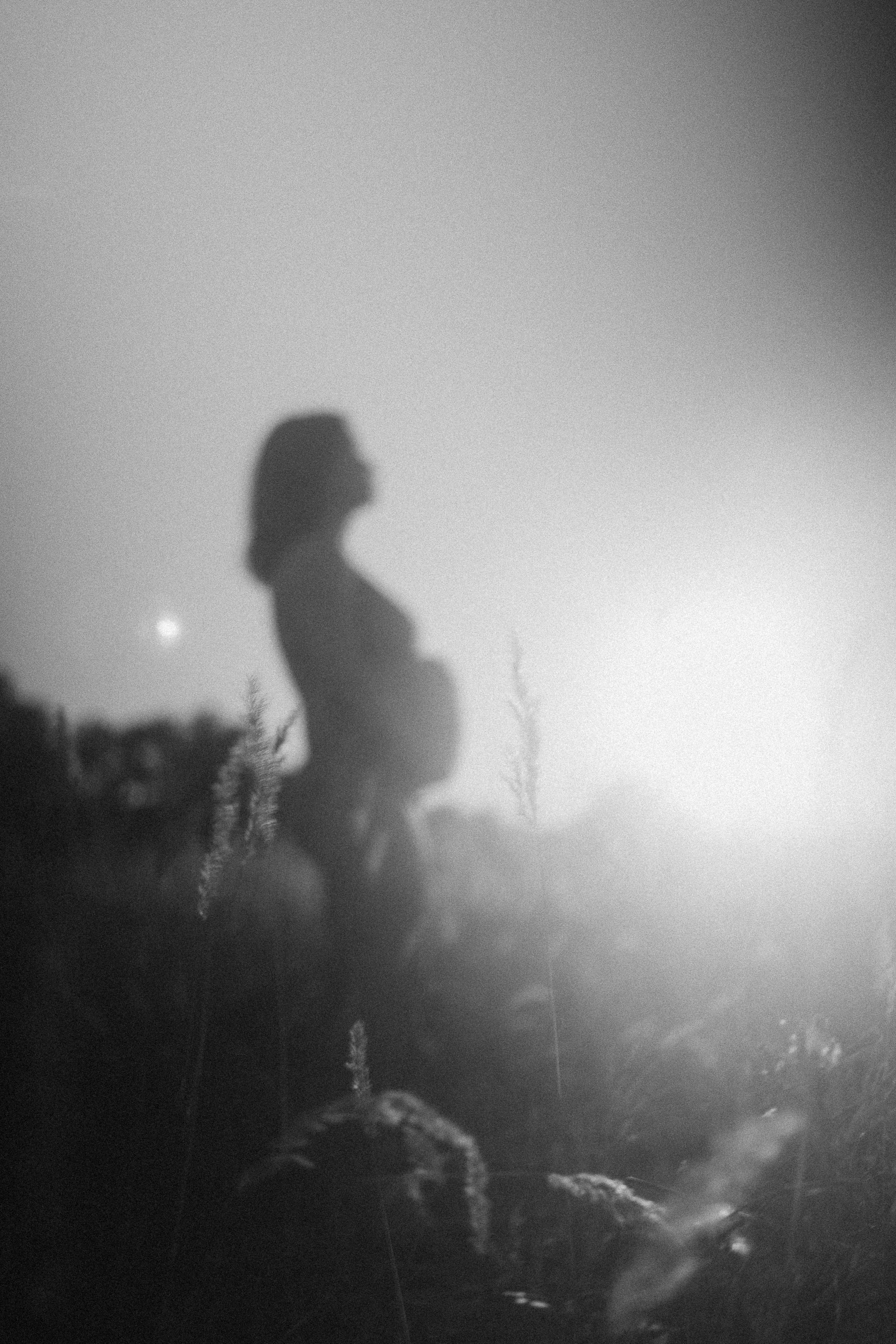 Беременность. Семейный фотограф Новосибирск Фотограф на выписку Новосибирск