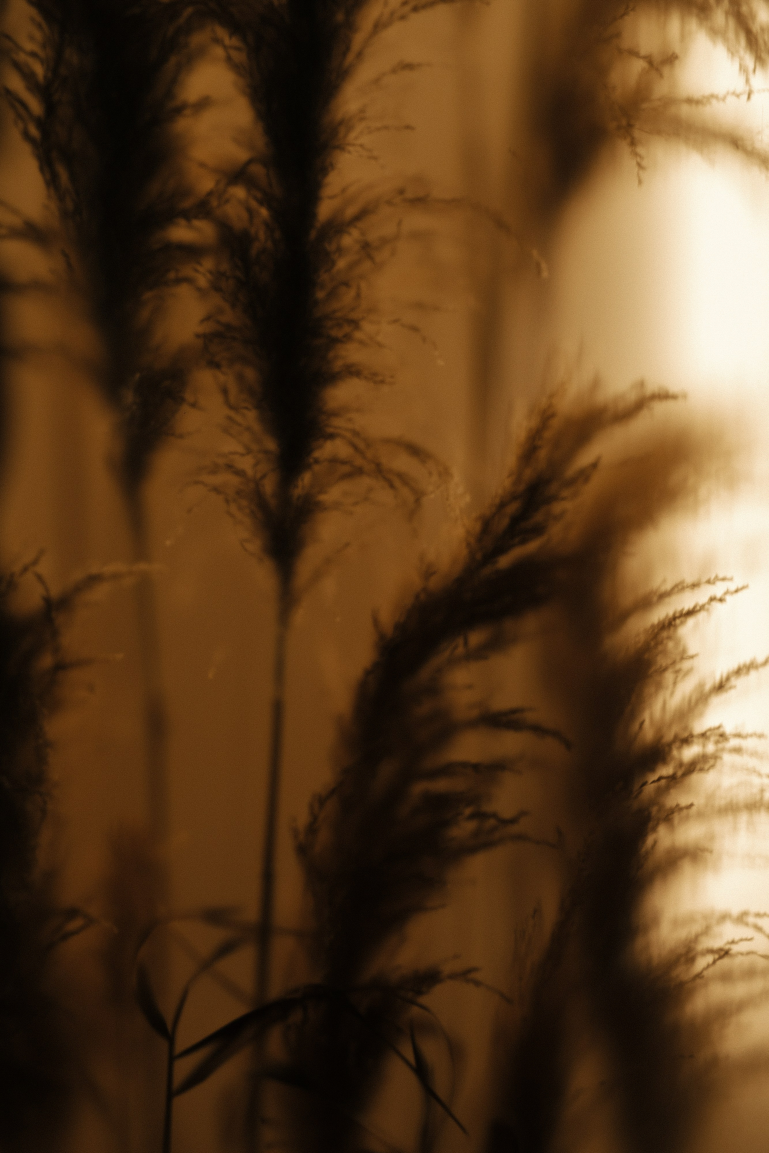 Открытие гриль-бара «СОЛГОН». Фуд и предметный фотограф Виталий Морозов г. Москва