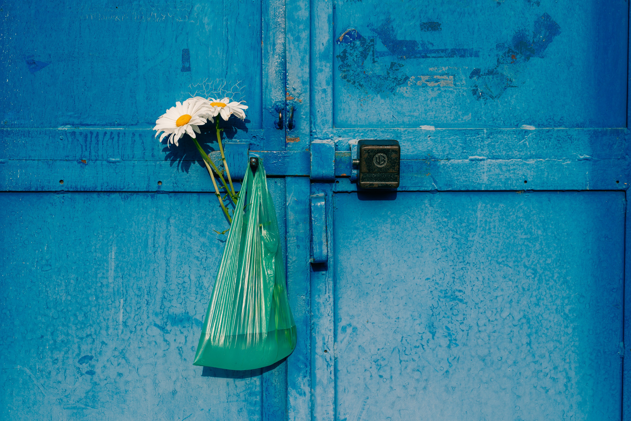 Юлия. Мария Кобзева, фотограф в Ялте, Крым