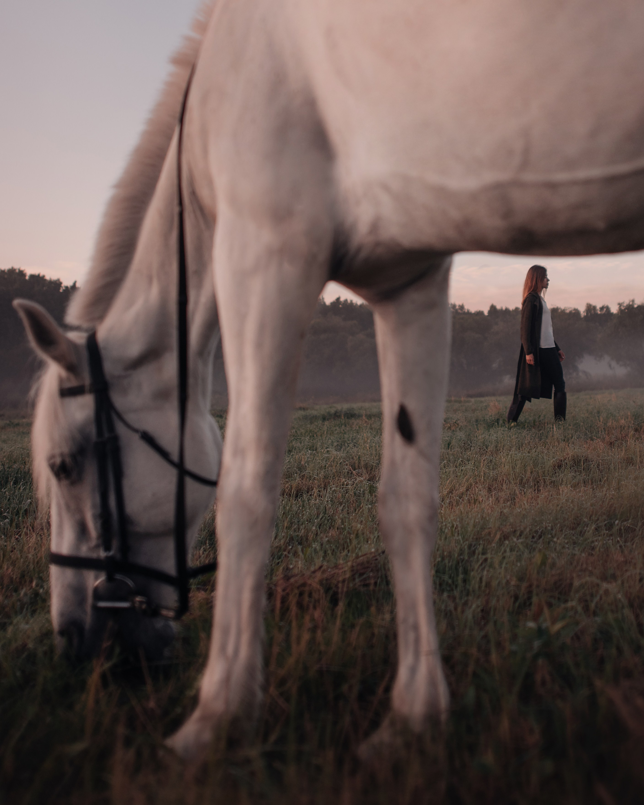 Конное: рассвет на поле с Лерой и Златой. Портфолио