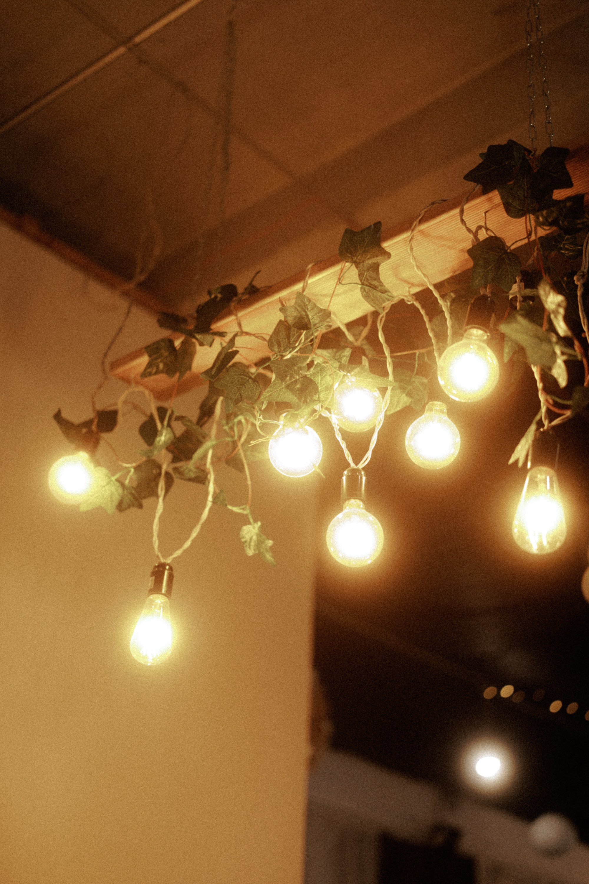 HB Misha. Свадебный фотограф