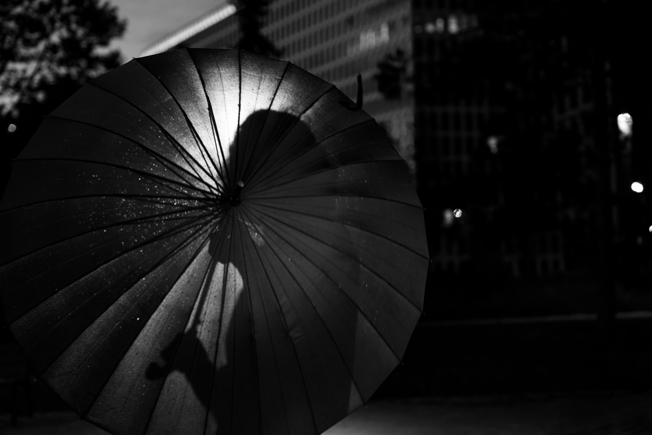 «Летний дождь» — Gafur X Terry. Агентство по фото и видео съемке