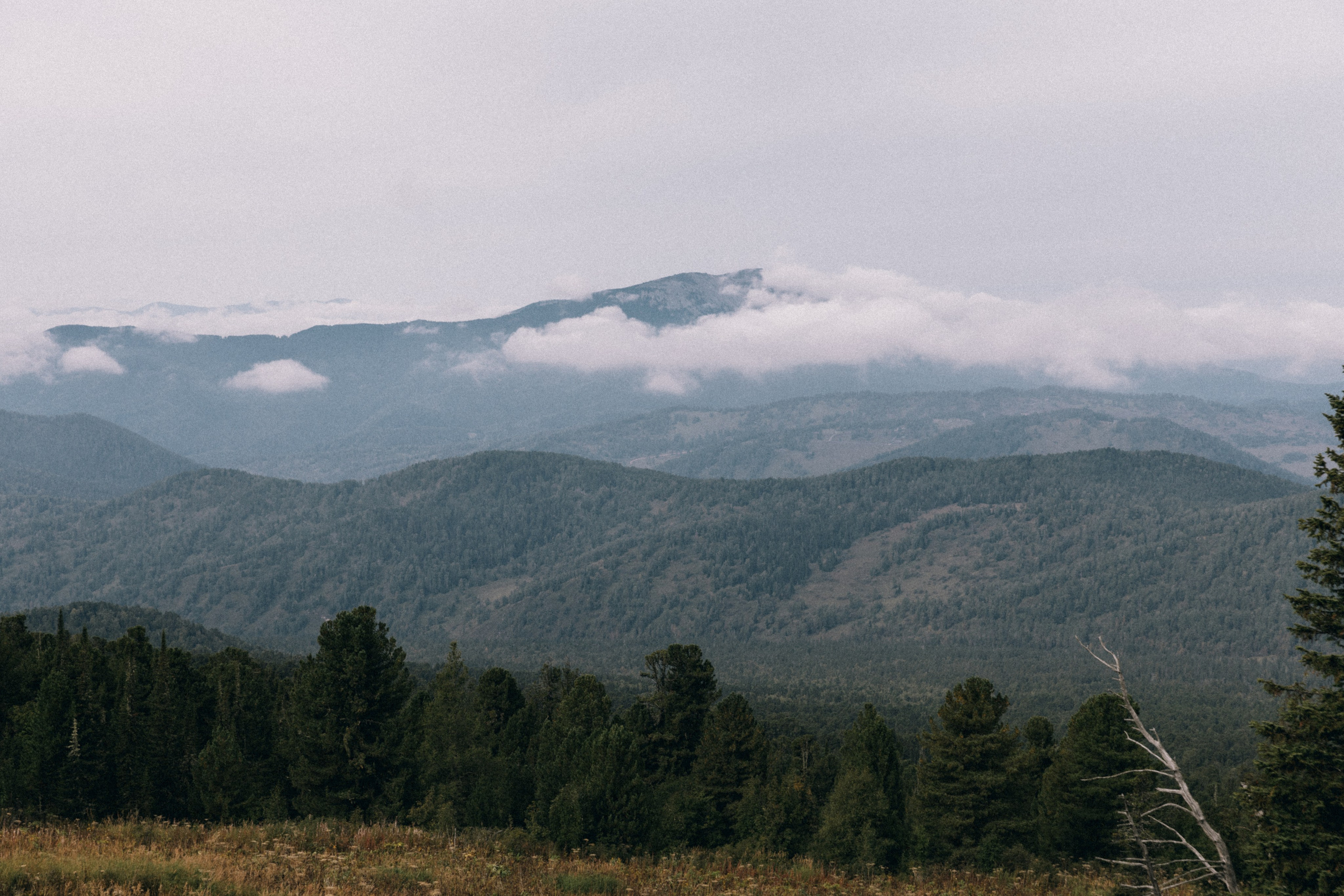 Алтай, природа и эстетика. Александр Чернин. Семейный и событийный фотограф