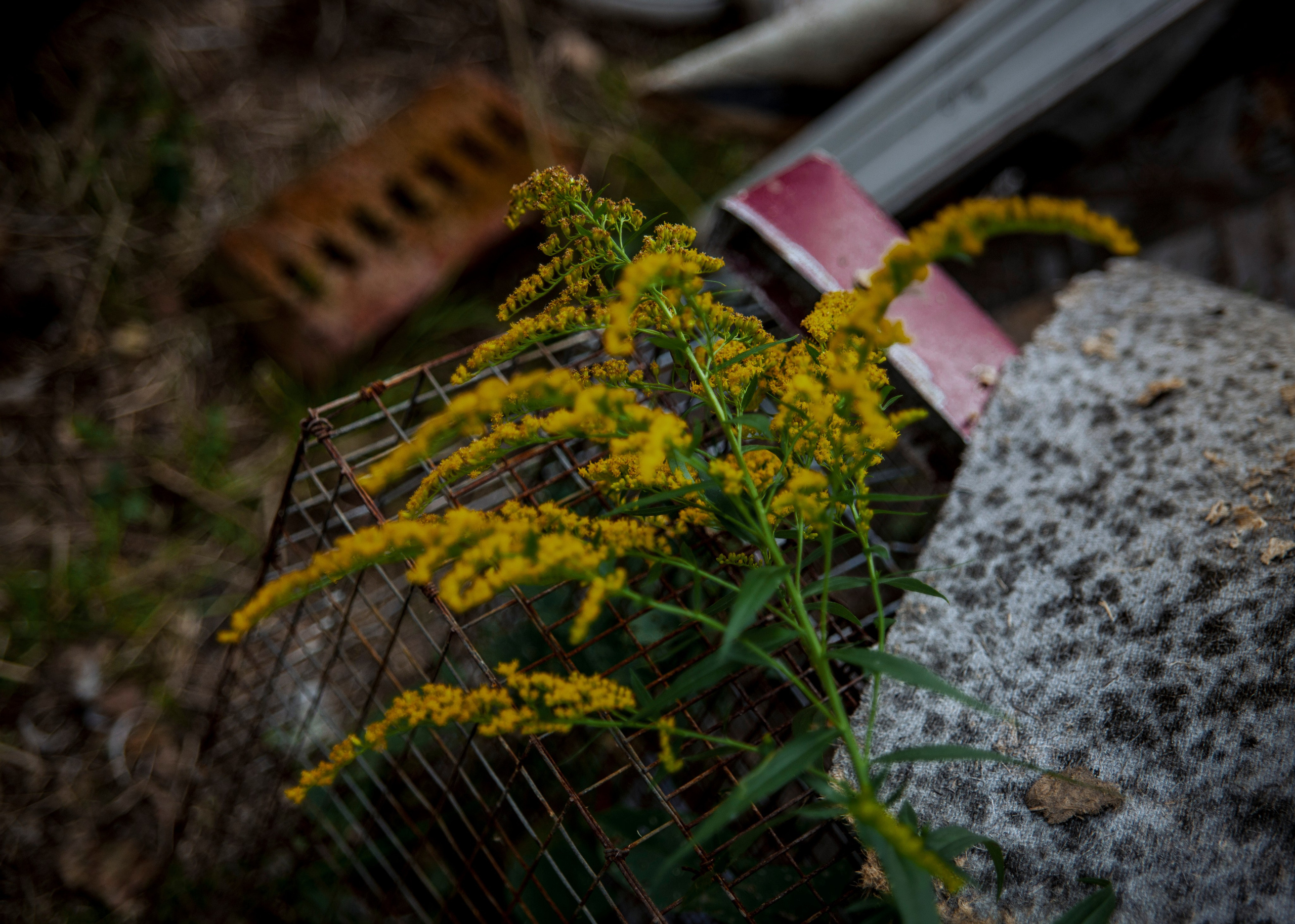 Backstage со съёмок фильма «Reverenсе». Портретный фотограф в Москве Дарья Цезария
