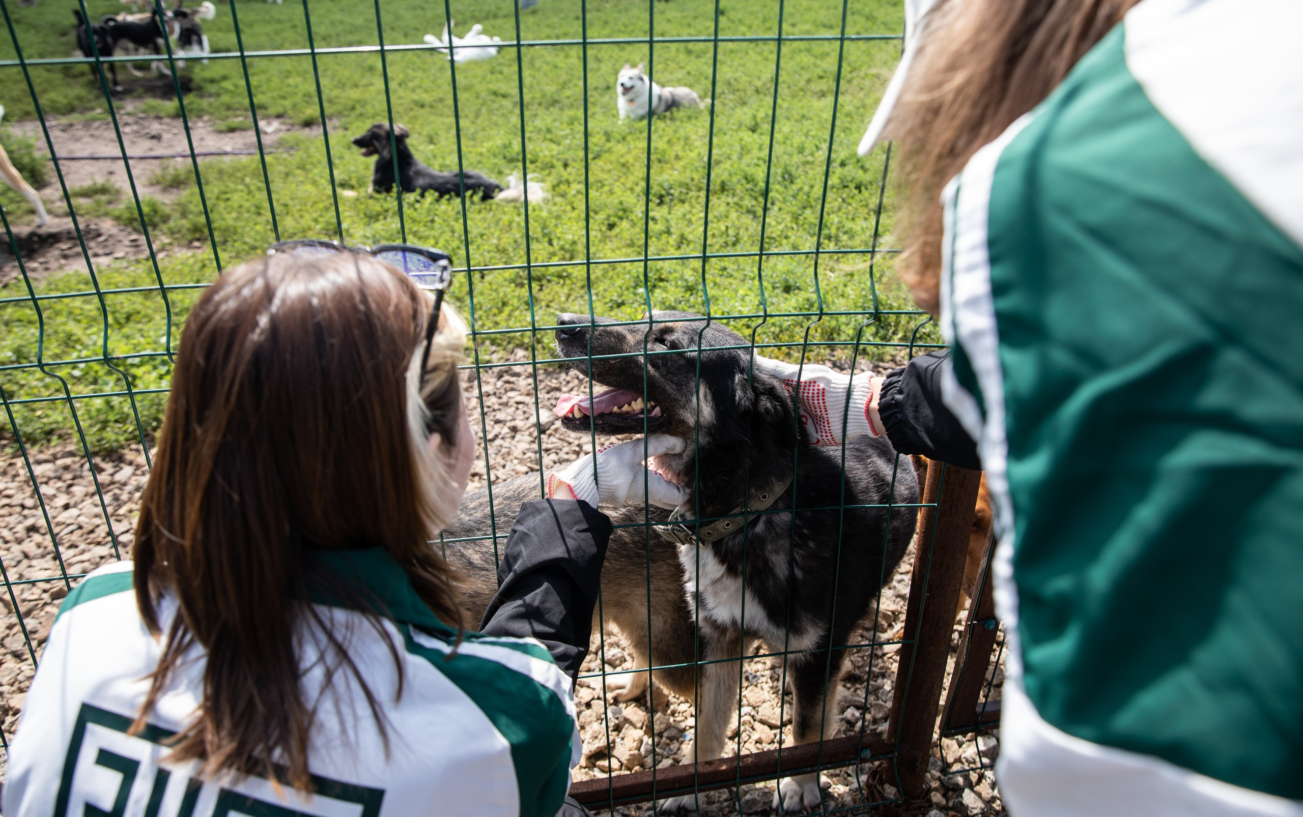 Приют — Наш дом. Репортажный и свадебный фотограф в Челябинске Елисеев Павел