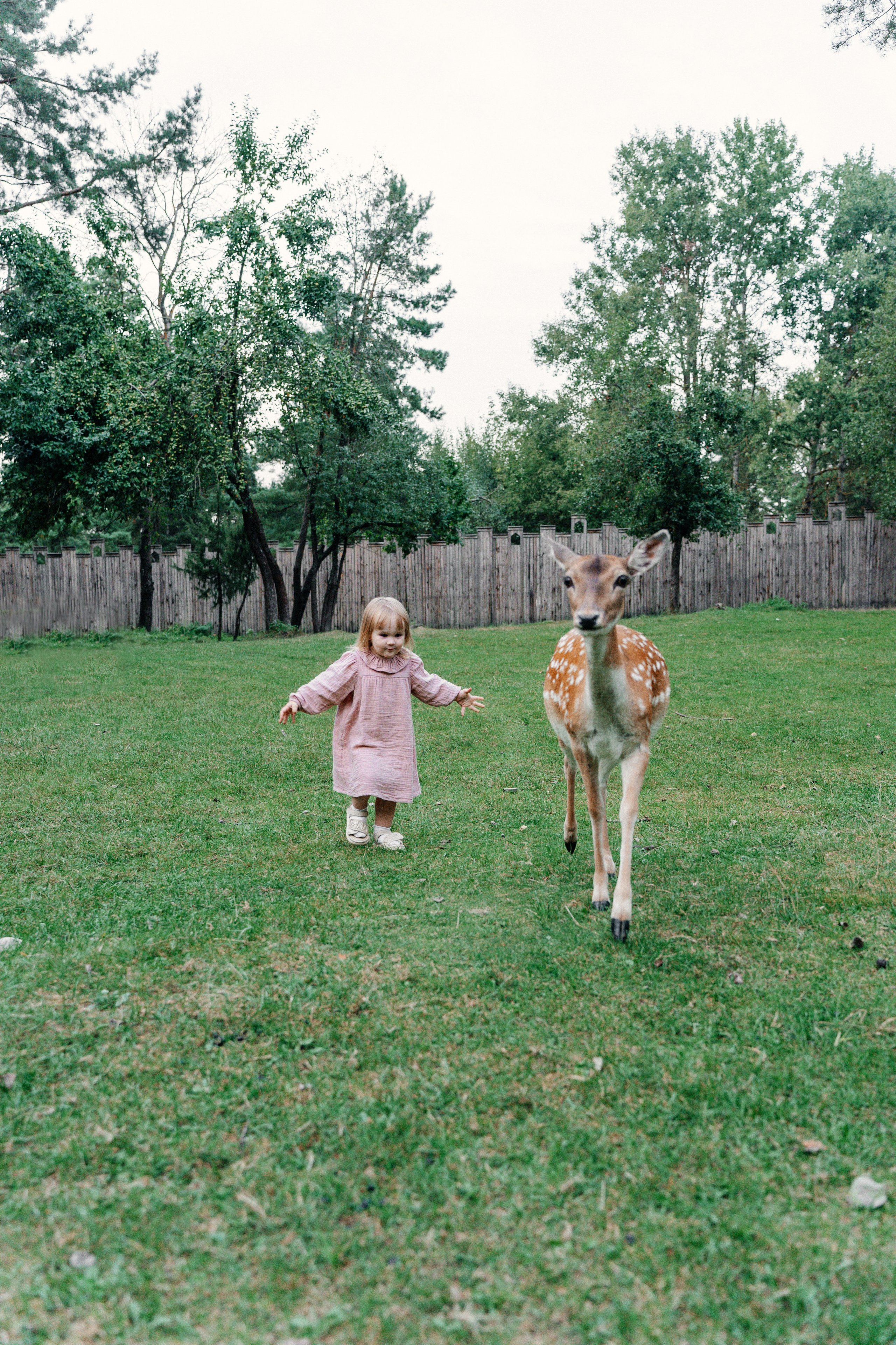 Диприз — в мире диких животных. Ваш семейный фотограф в Минске — Вика Трегубова