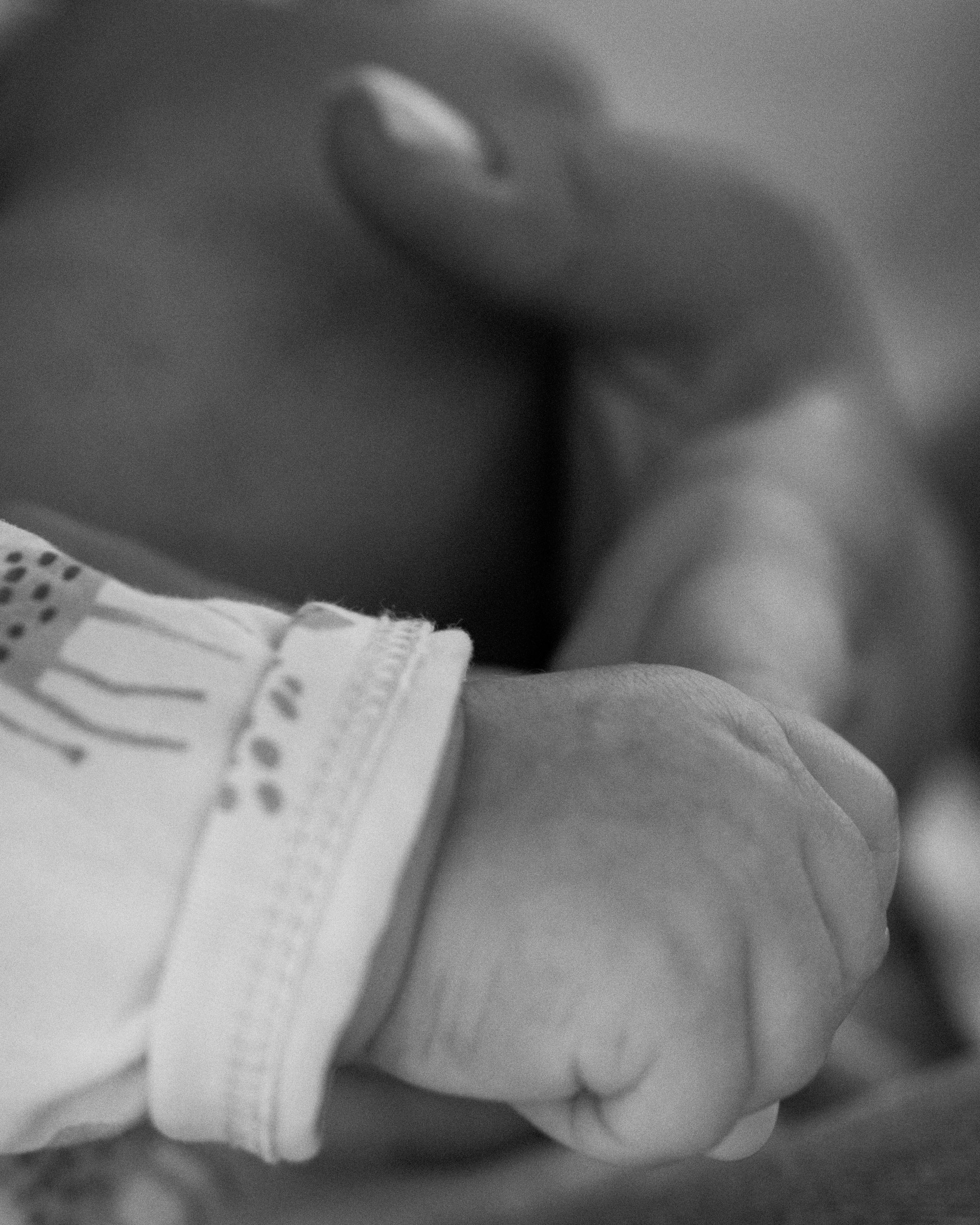 Family Photoday. Portrait photographer Olga Prokopova based in Budapest
