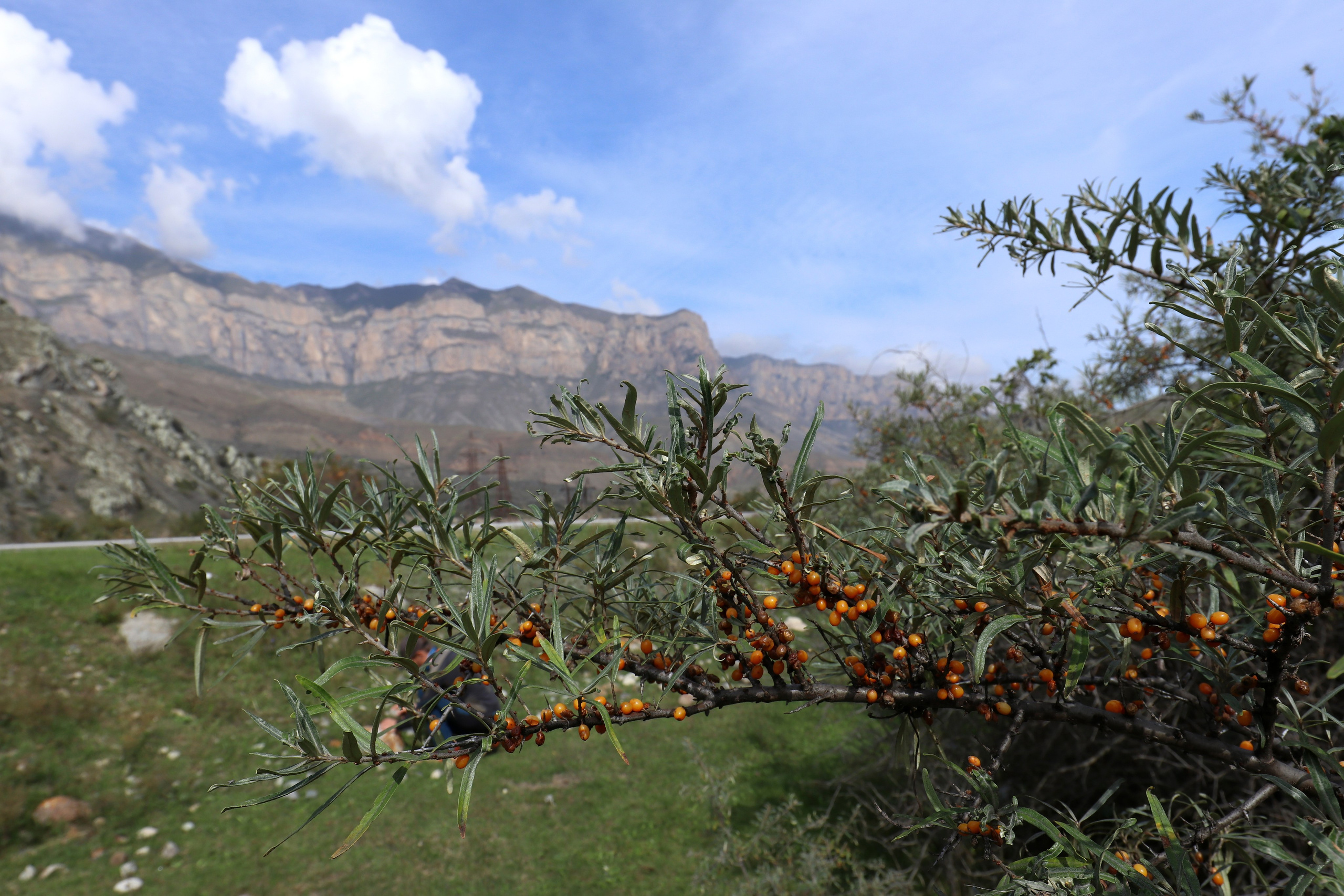 Приэльбрусье. Сентябрь 2024. Путешественник-фотограф из Санкт-Петербурга Татьяна Свистулина