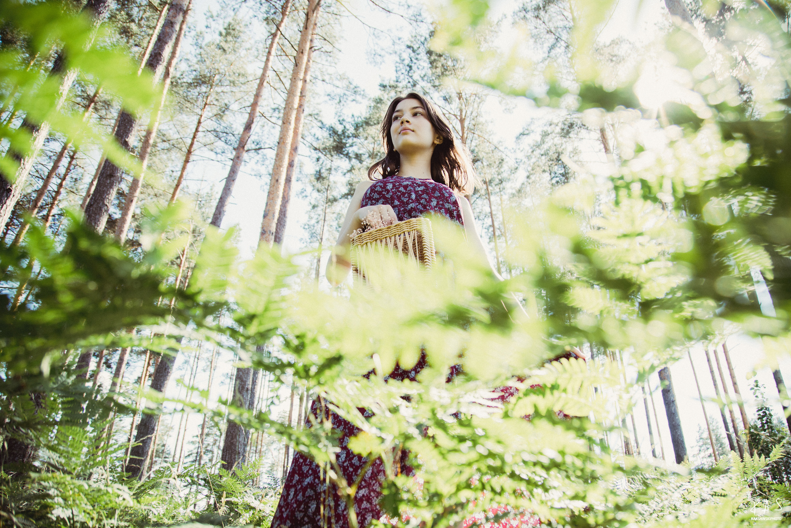 Папараць кветка. Фотография и видеосъёмка