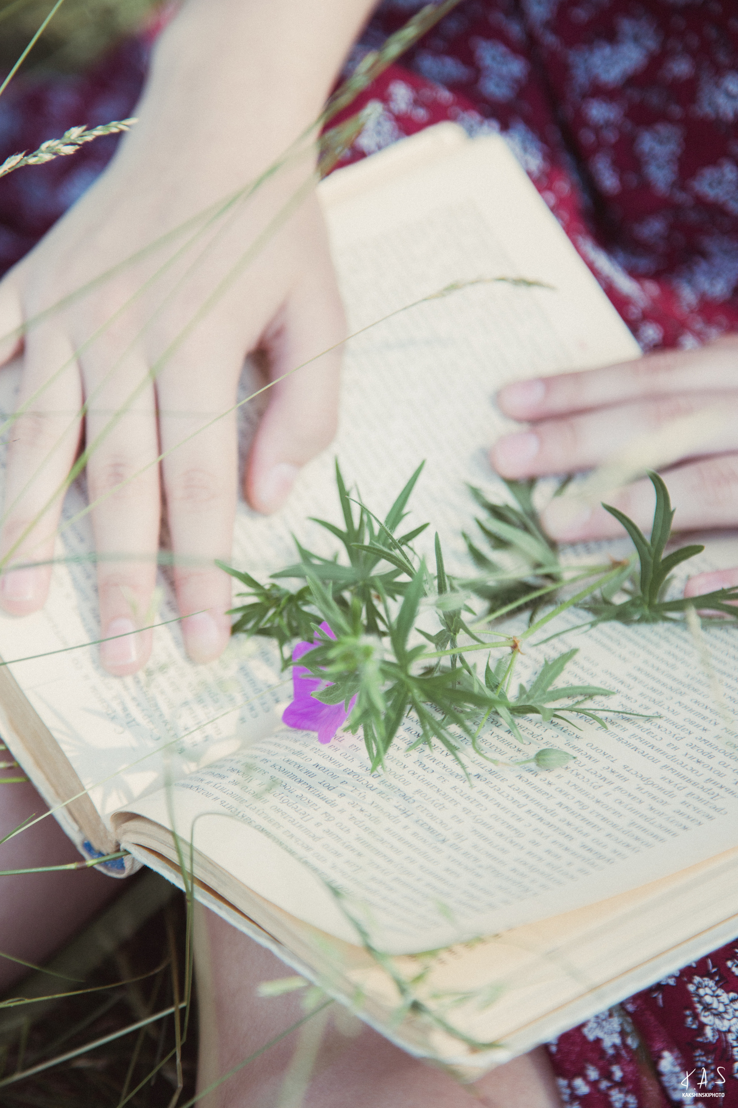 Папараць кветка. Фотография и видеосъёмка