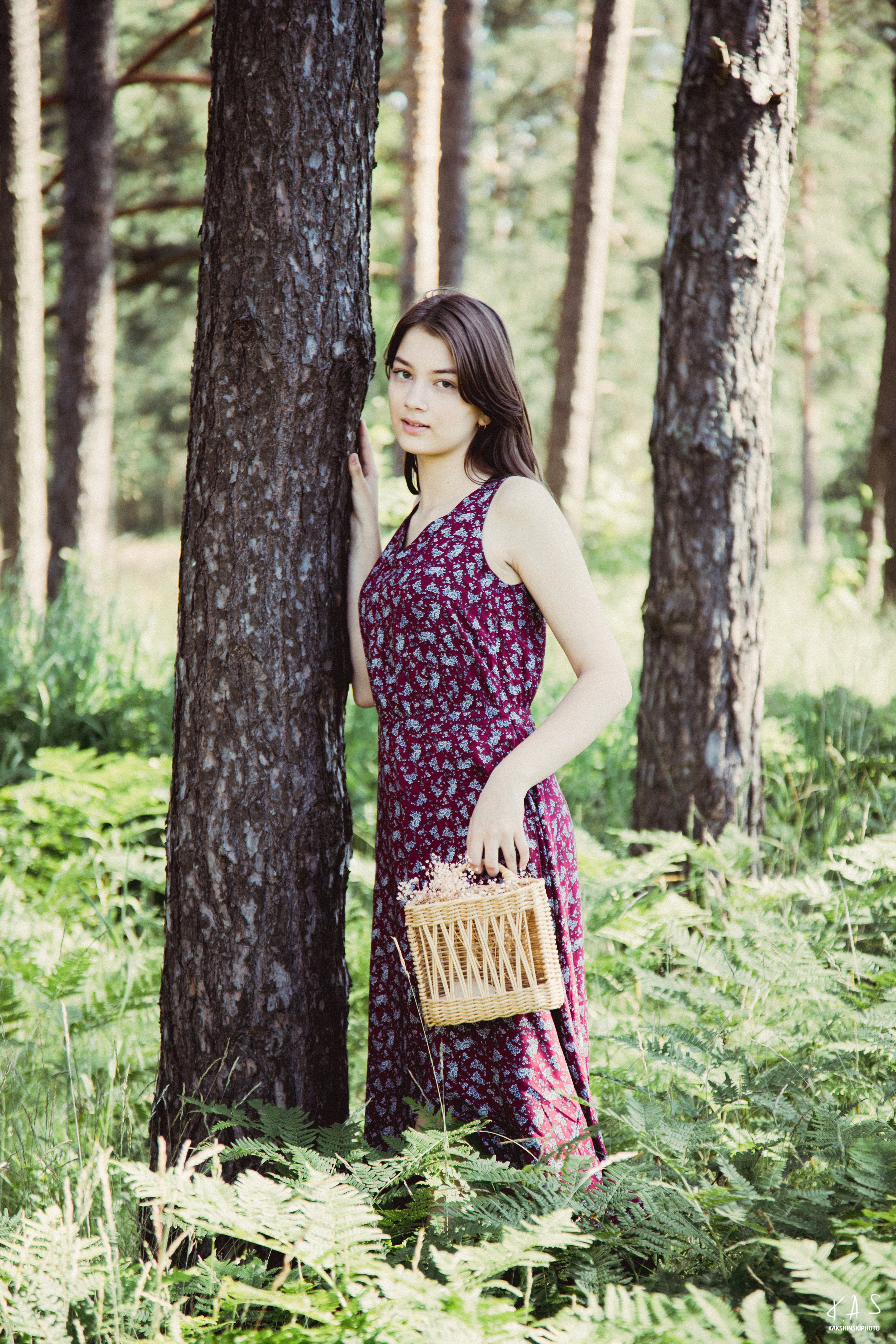 Папараць кветка. Фотография и видеосъёмка