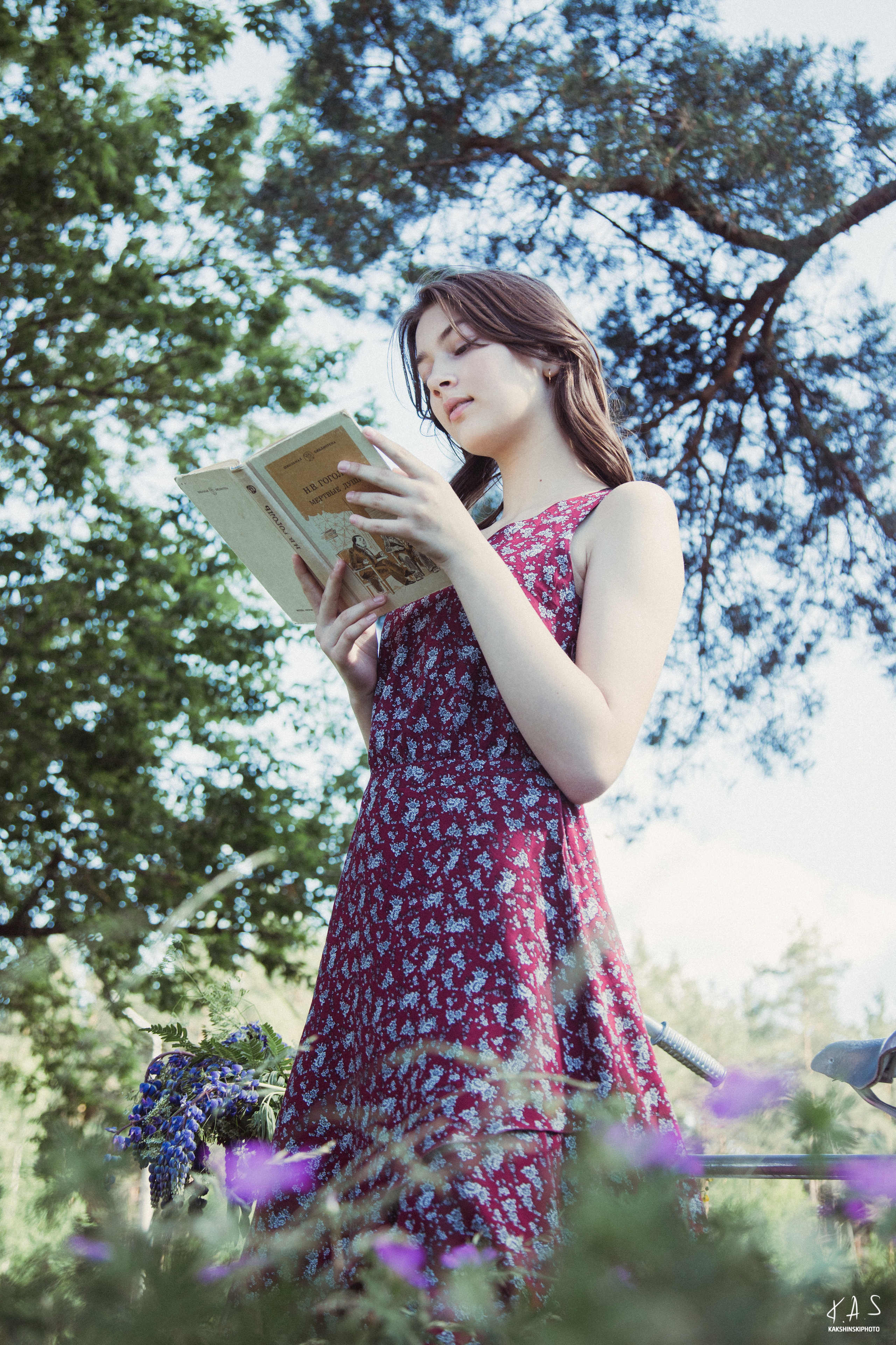 Папараць кветка. Фотография и видеосъёмка