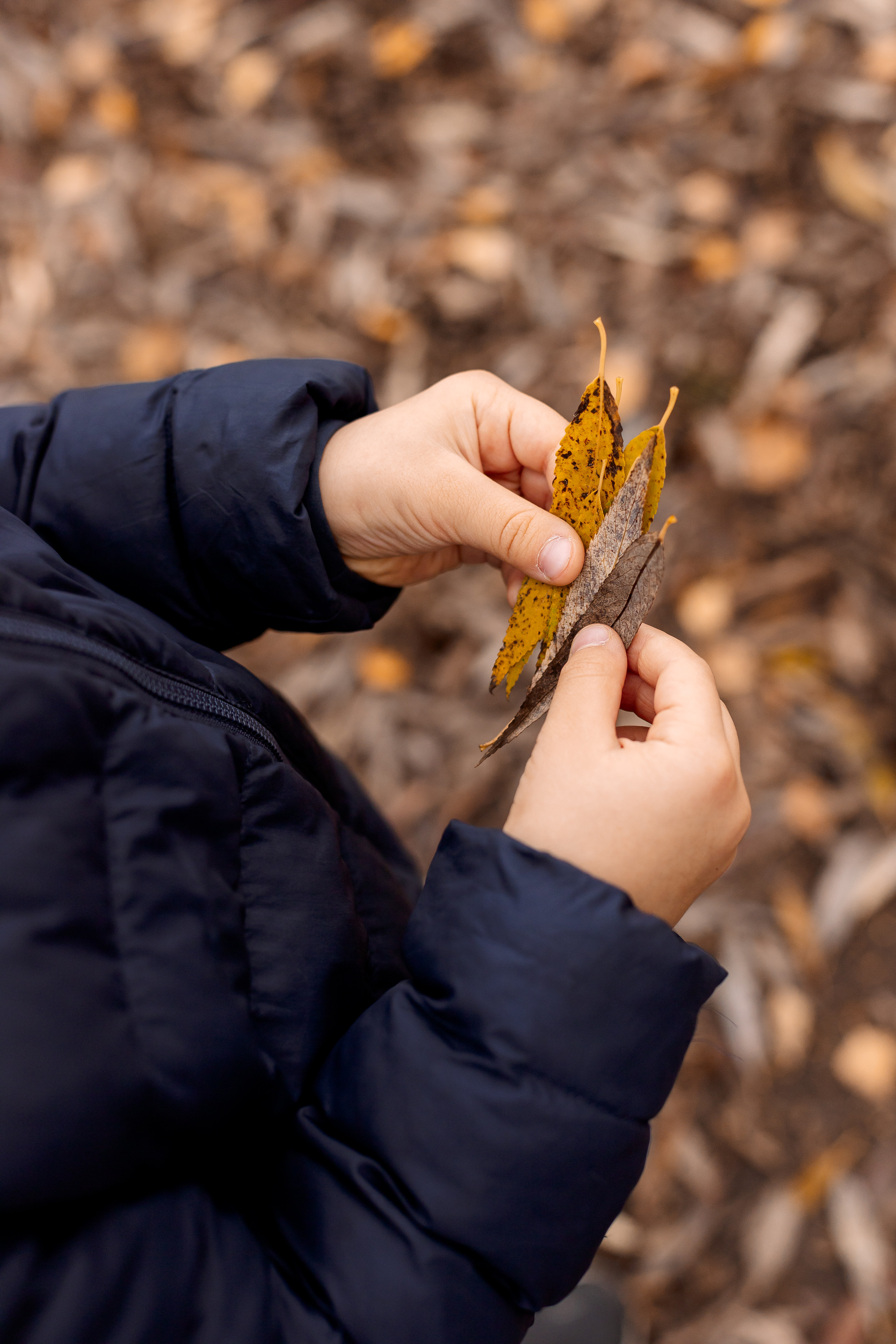 Семейная прогулка в Ботаническом саду. Семейный Фотограф в Москве Евгения Симоненко
