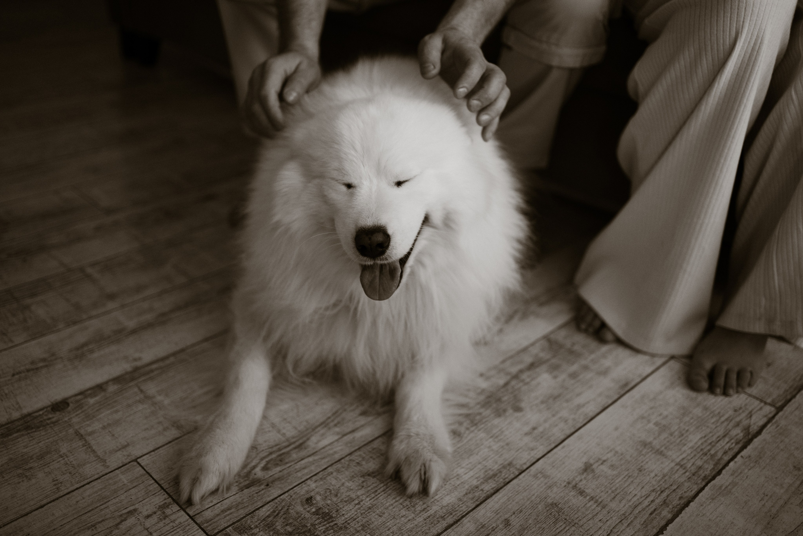 Настя, Антон, Яроша, Агата и Цезарь. Фотограф в Минске — Мария Миллс