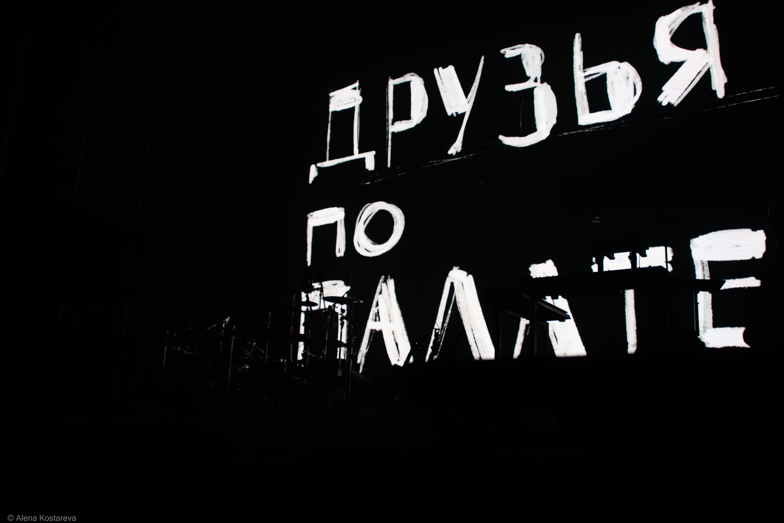 Звери. Алена Костарева. Фотограф в Ростове-на-Дону