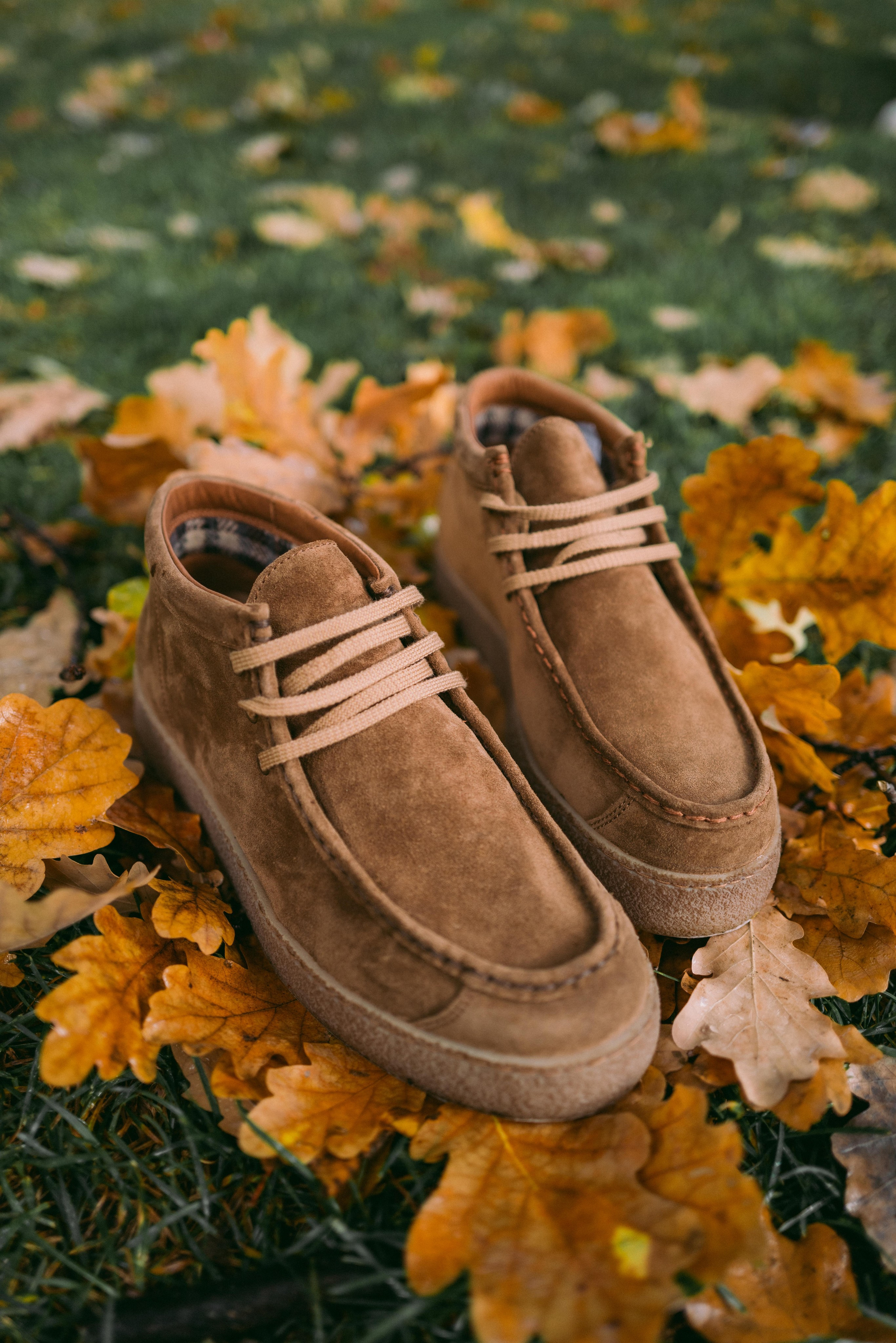 TJ Collection. Фотограф Евгения Добротворская