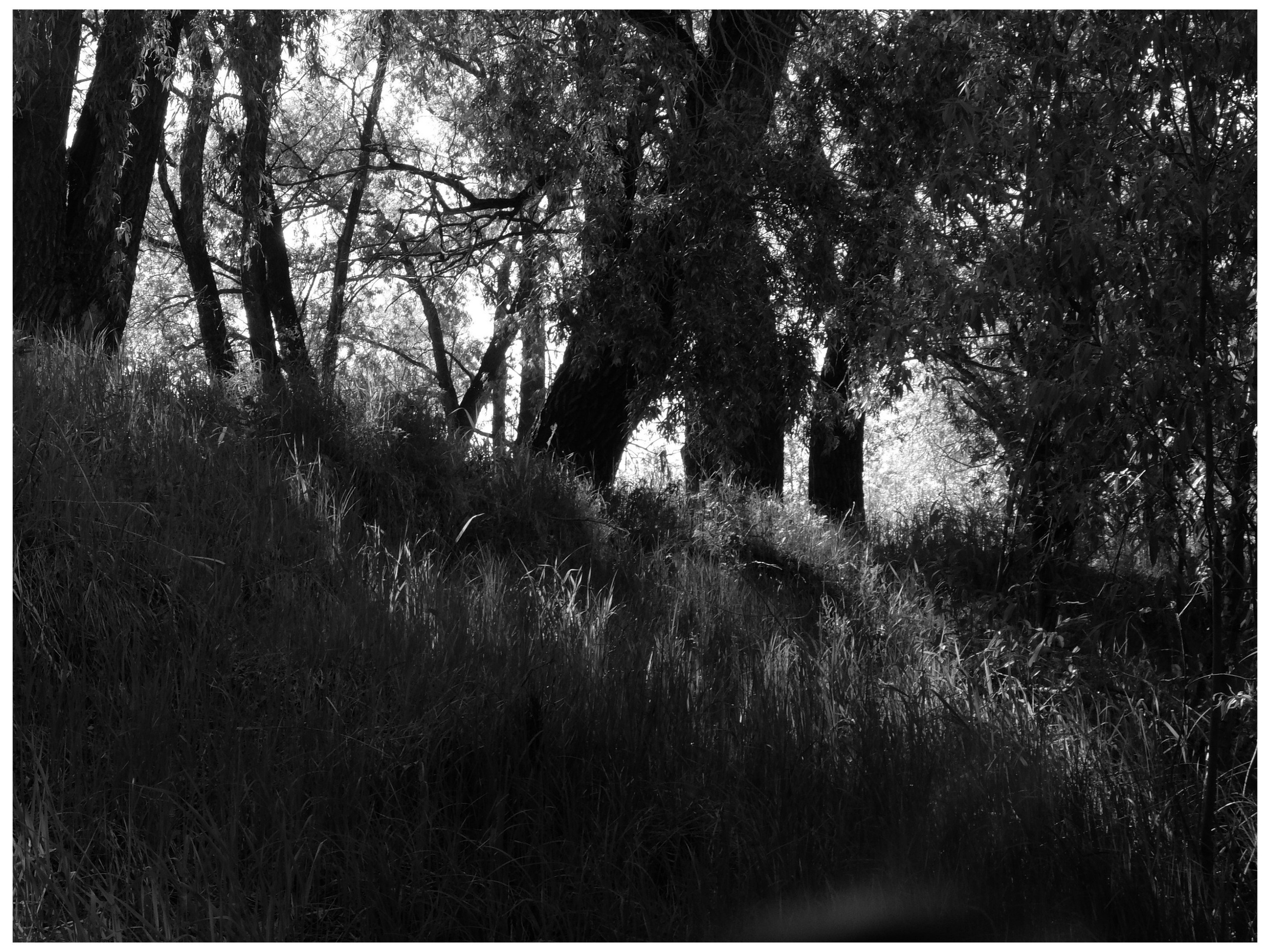 Промежуточные моменты (2022)